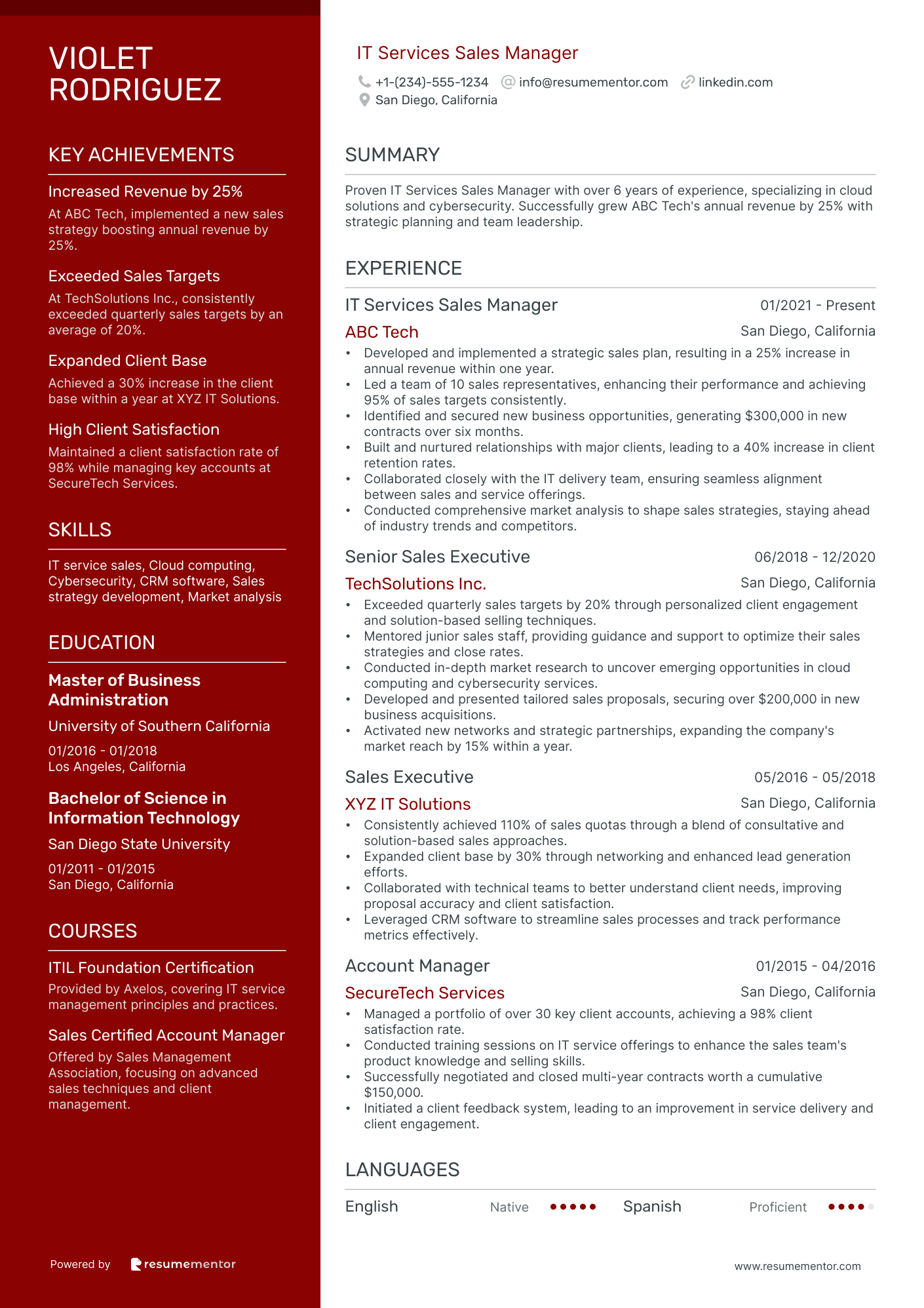 IT Services Sales Manager