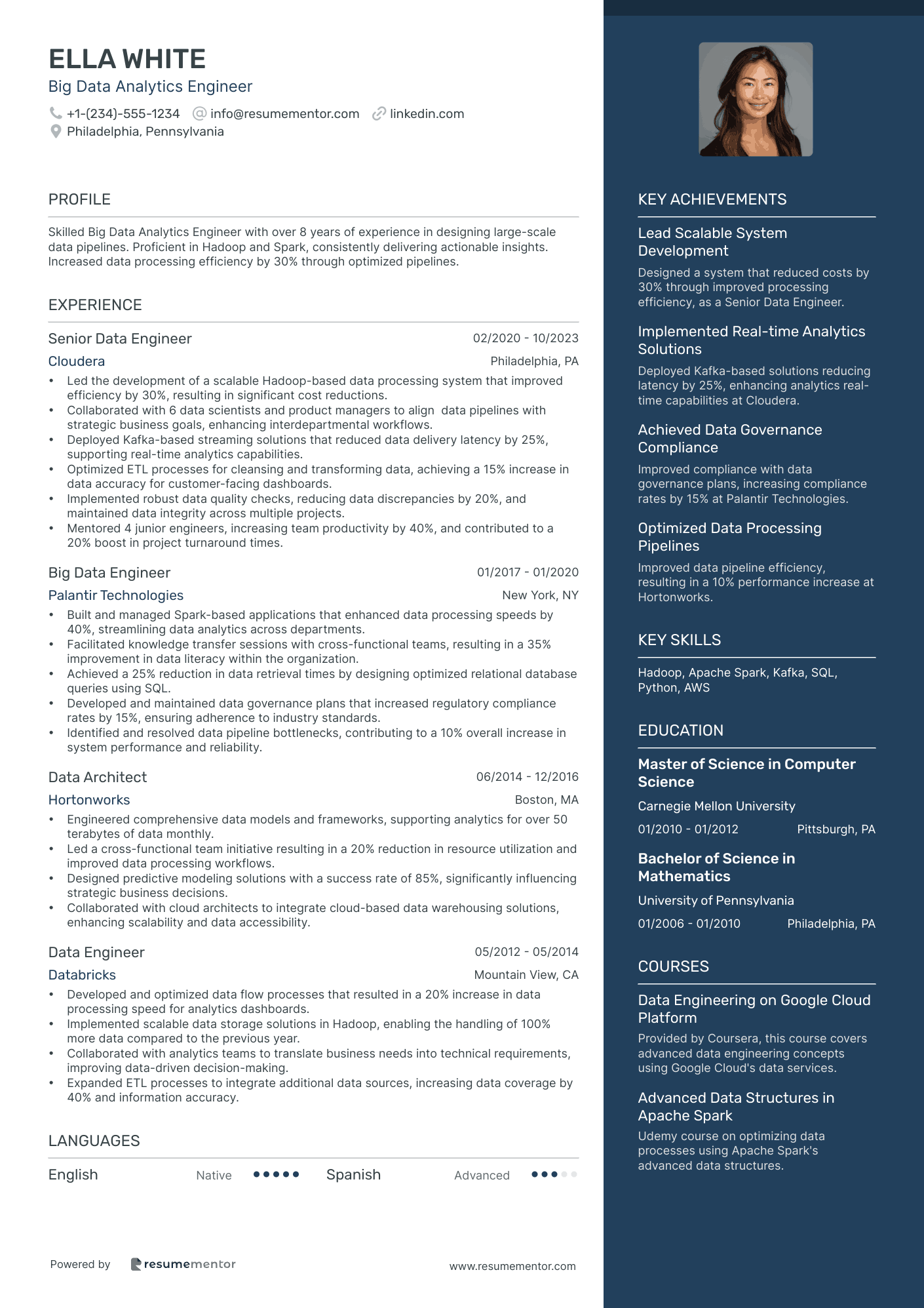 Big Data Analytics Engineer