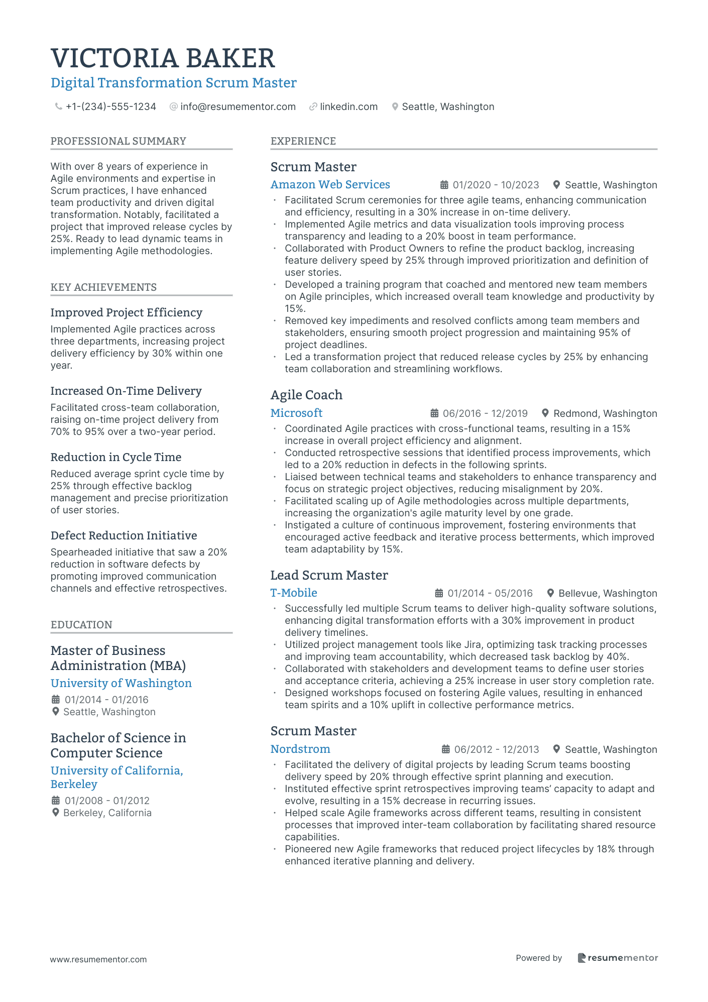Digital Transformation Scrum Master