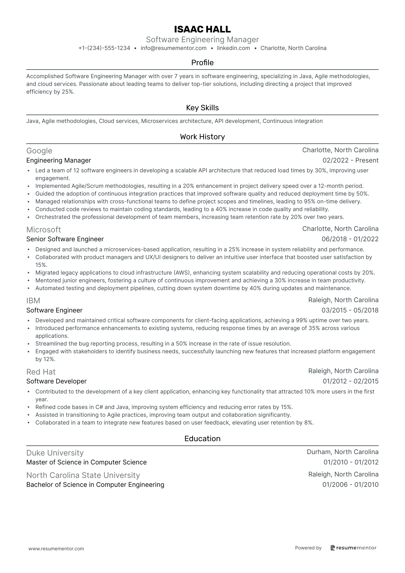 Software Engineering Manager