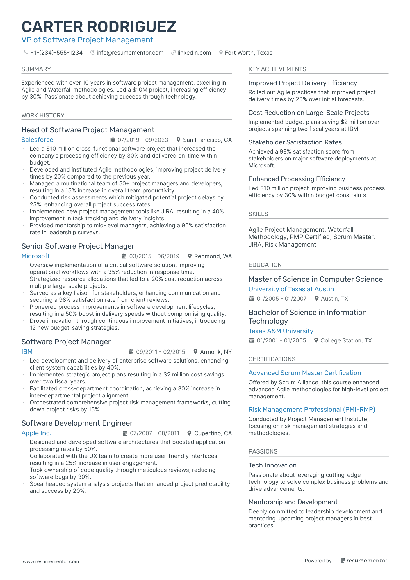 VP of Software Project Management