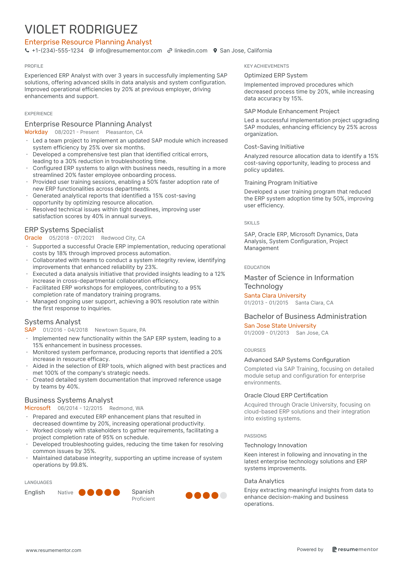 Enterprise Resource Planning Analyst