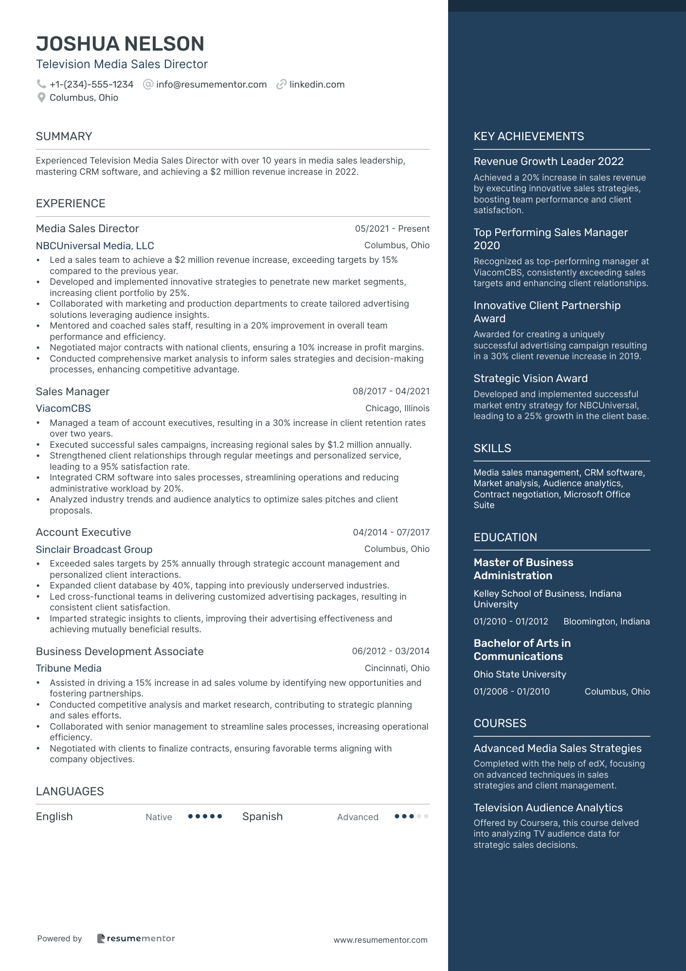 Television Media Sales Director
