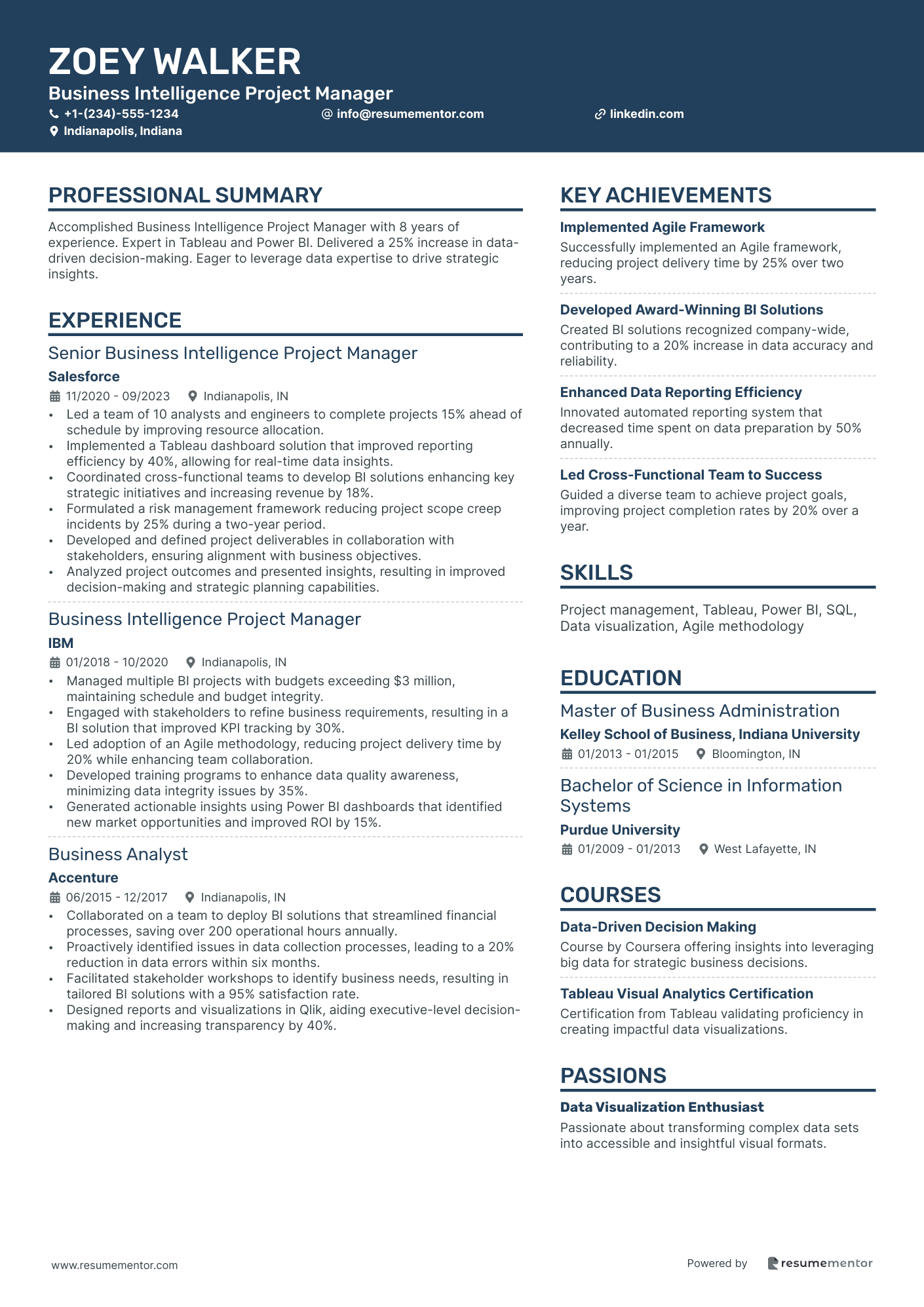 Business Intelligence Project Manager