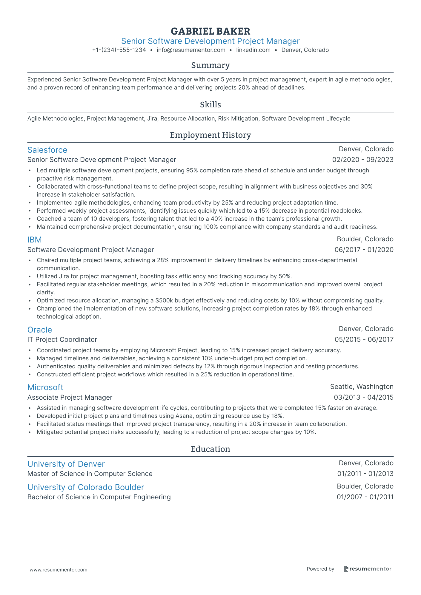 Senior Software Development Project Manager