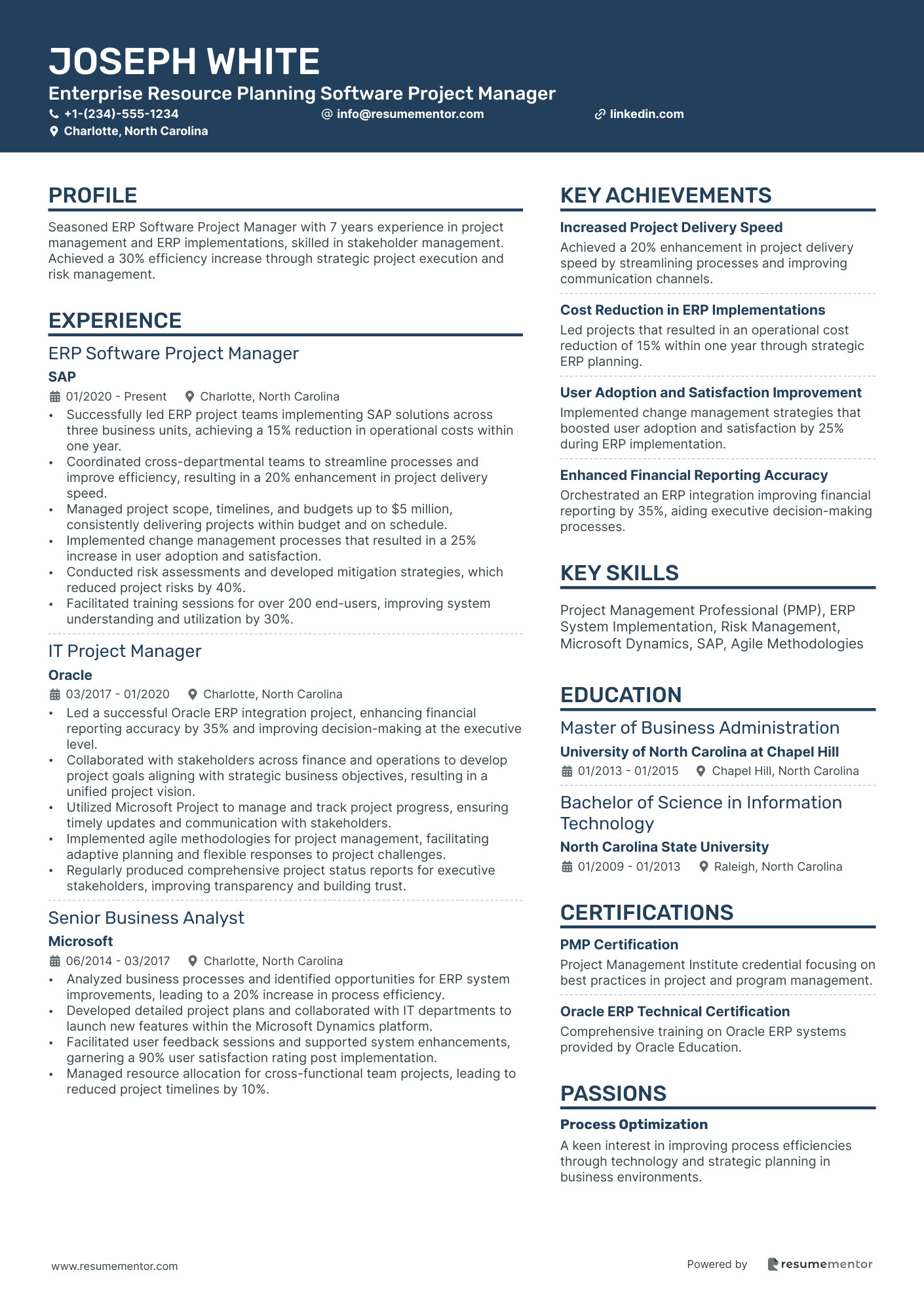 Enterprise Resource Planning Software Project Manager
