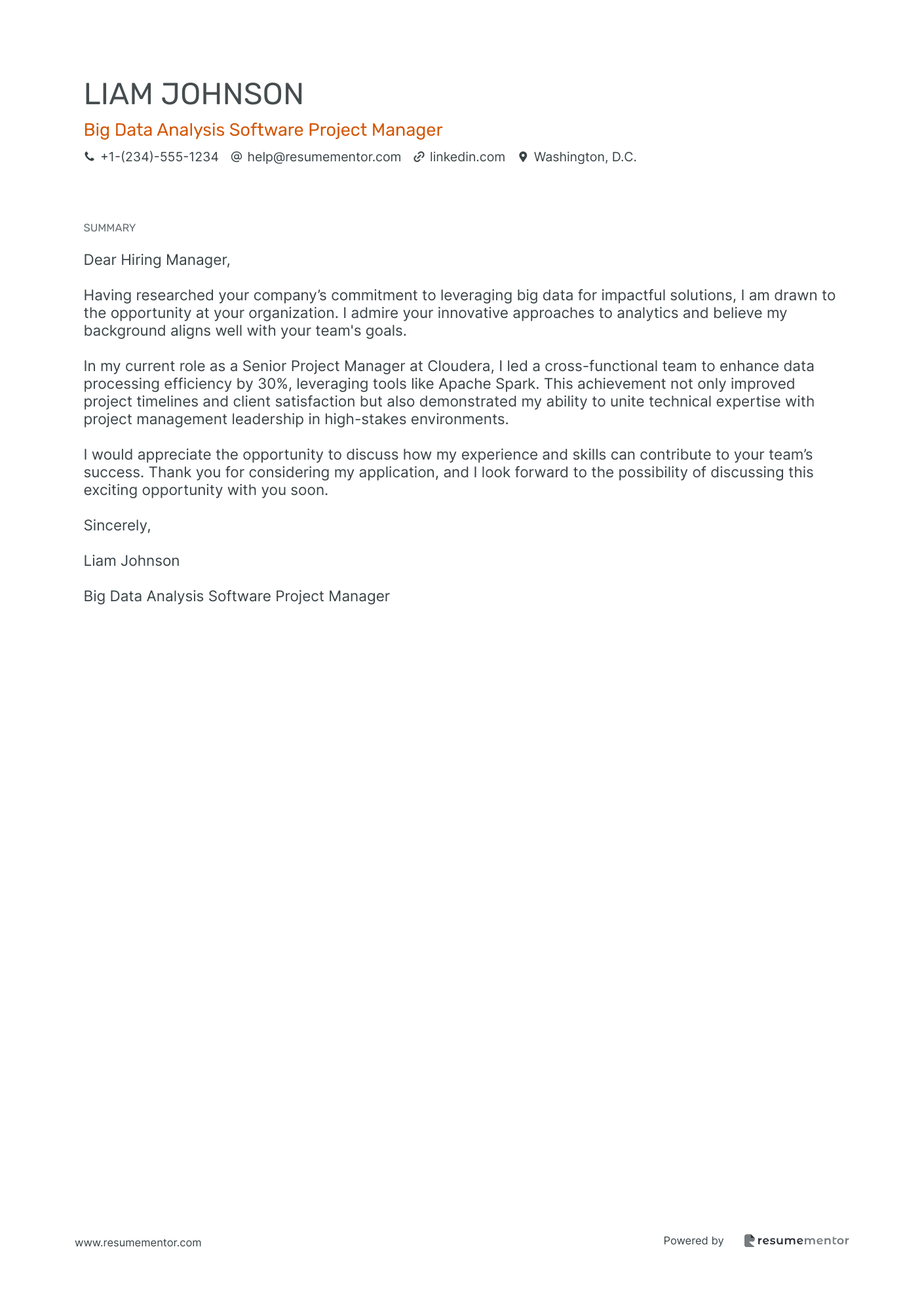 Big Data Analysis Software Project Manager
