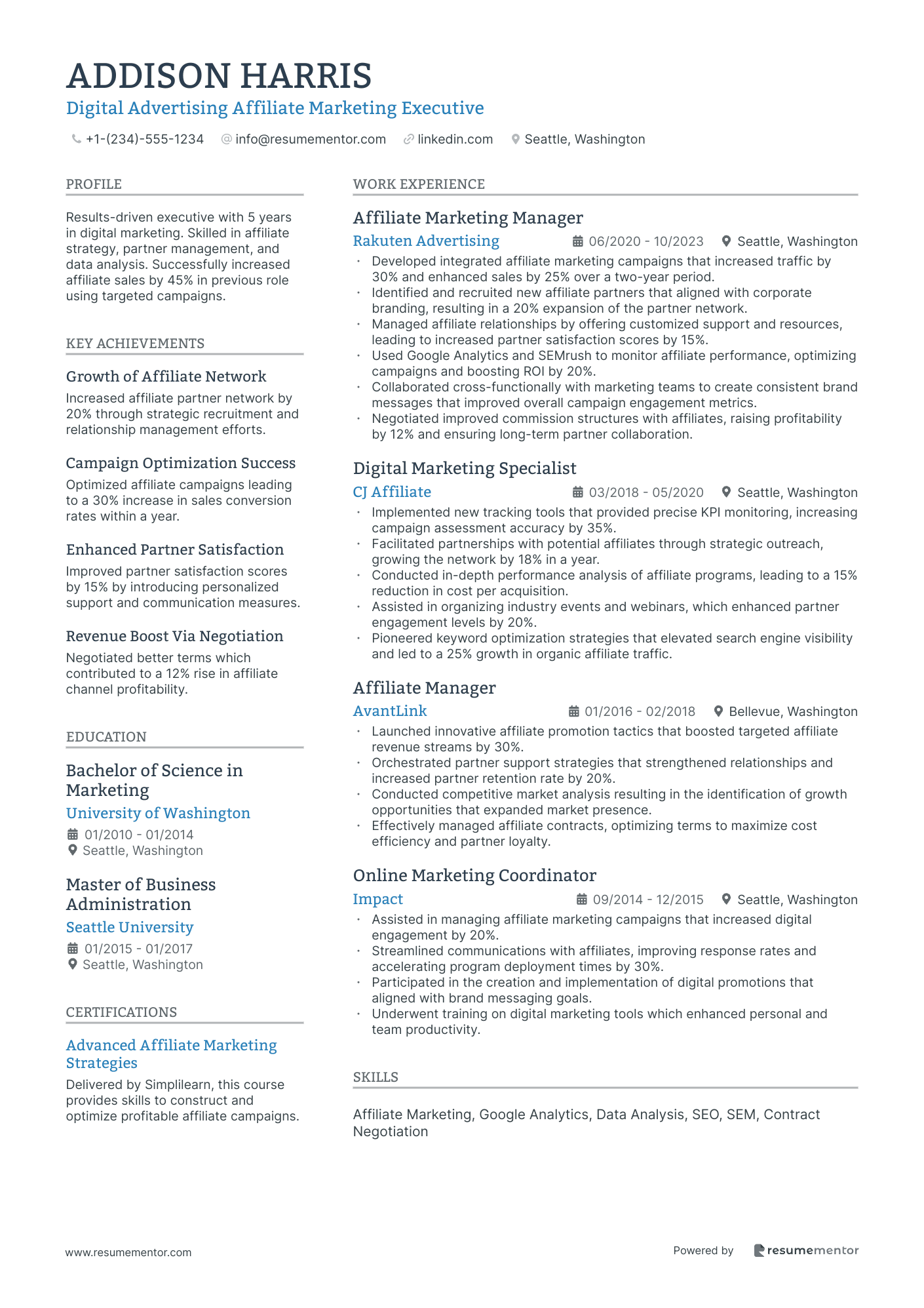Digital Advertising Affiliate Marketing Executive