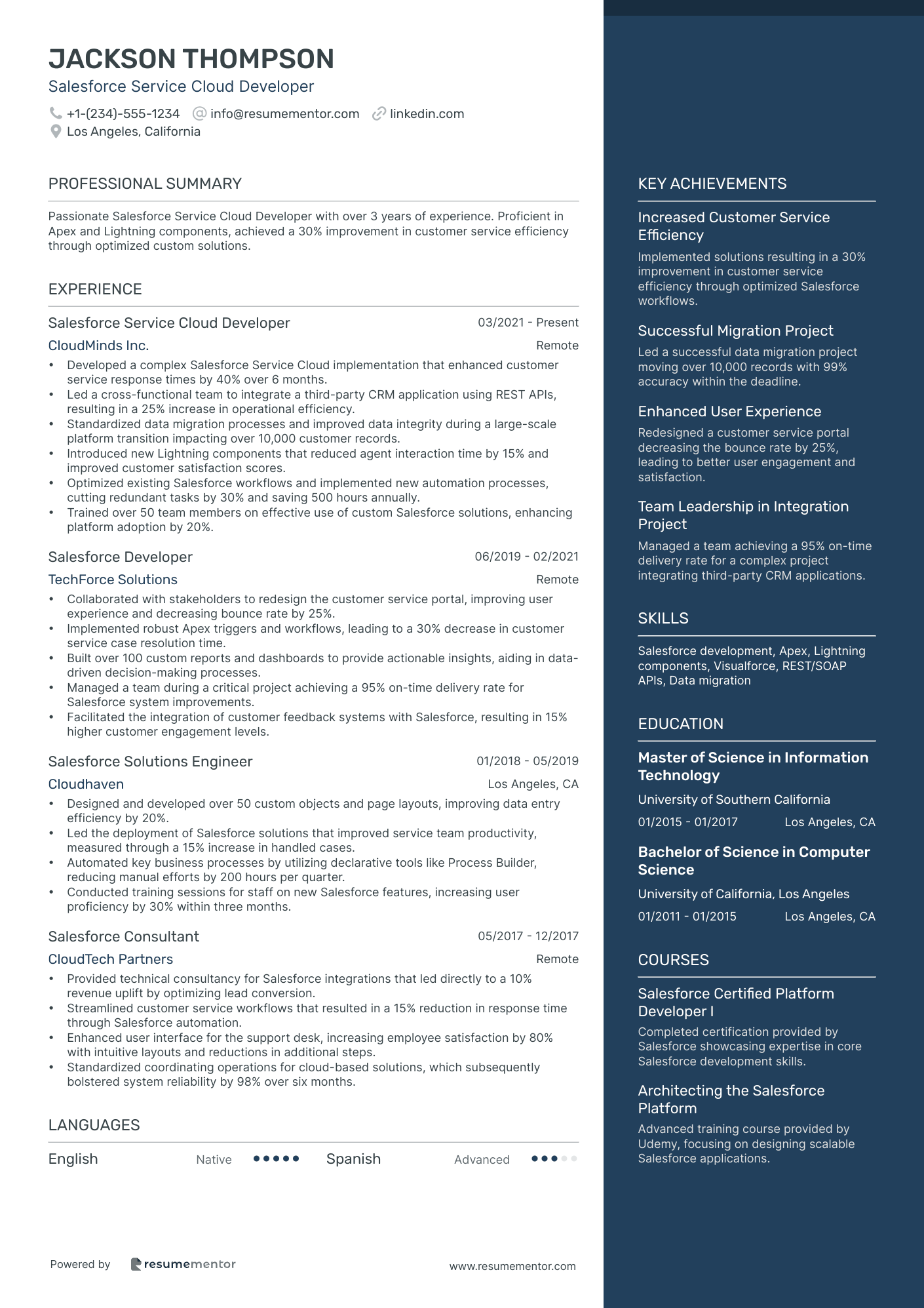 Salesforce Service Cloud Developer