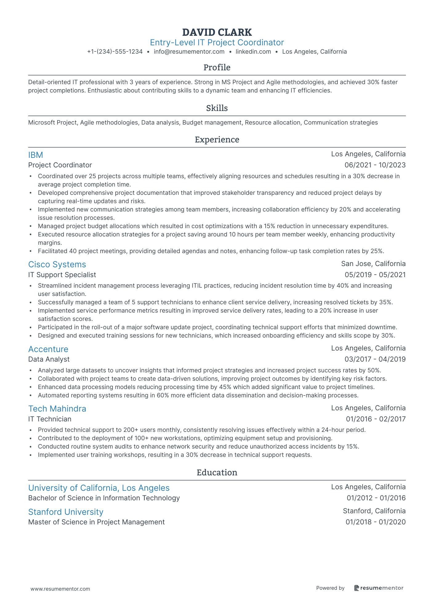 Entry Level IT Project Coordinator