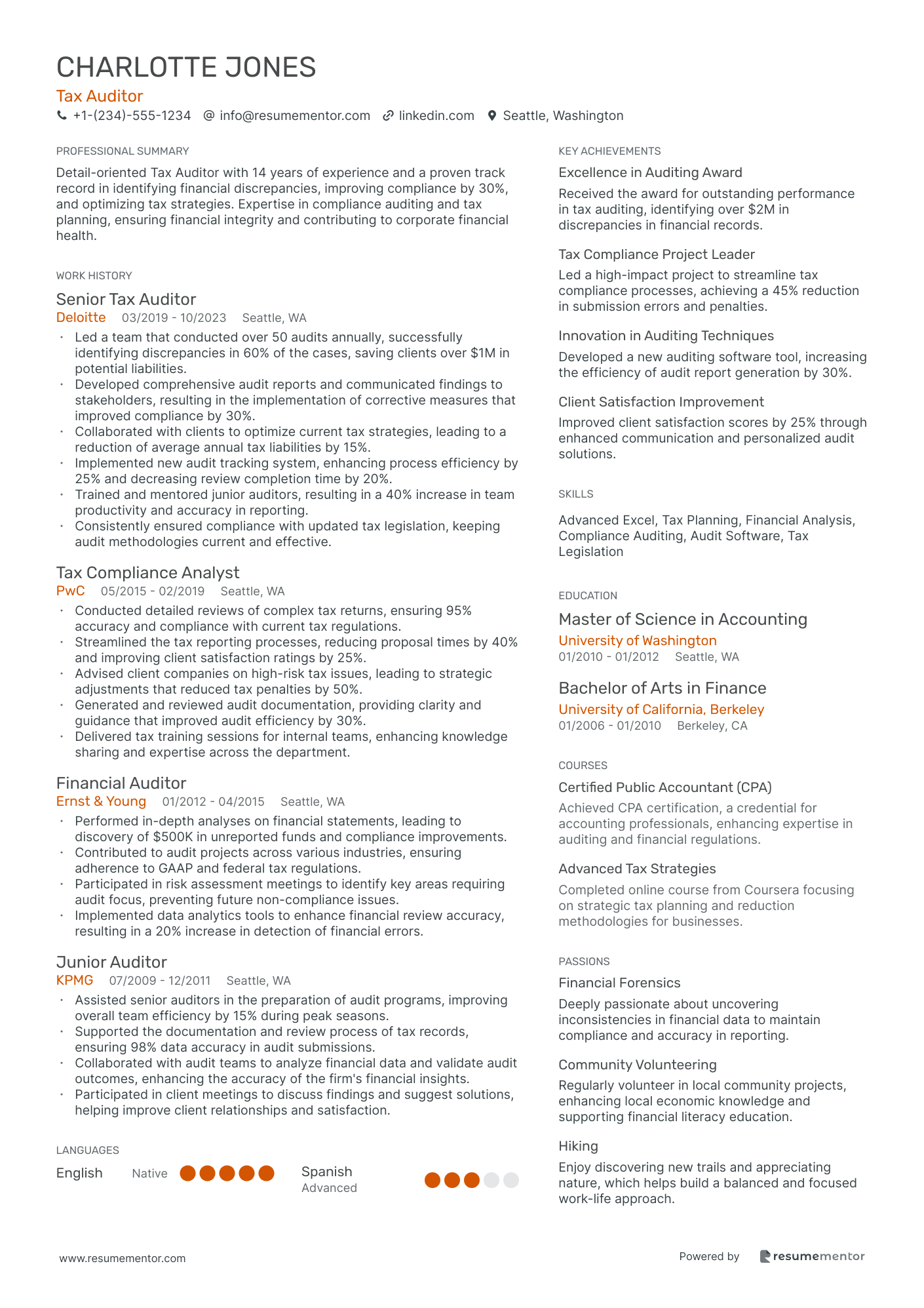 Tax Auditor
