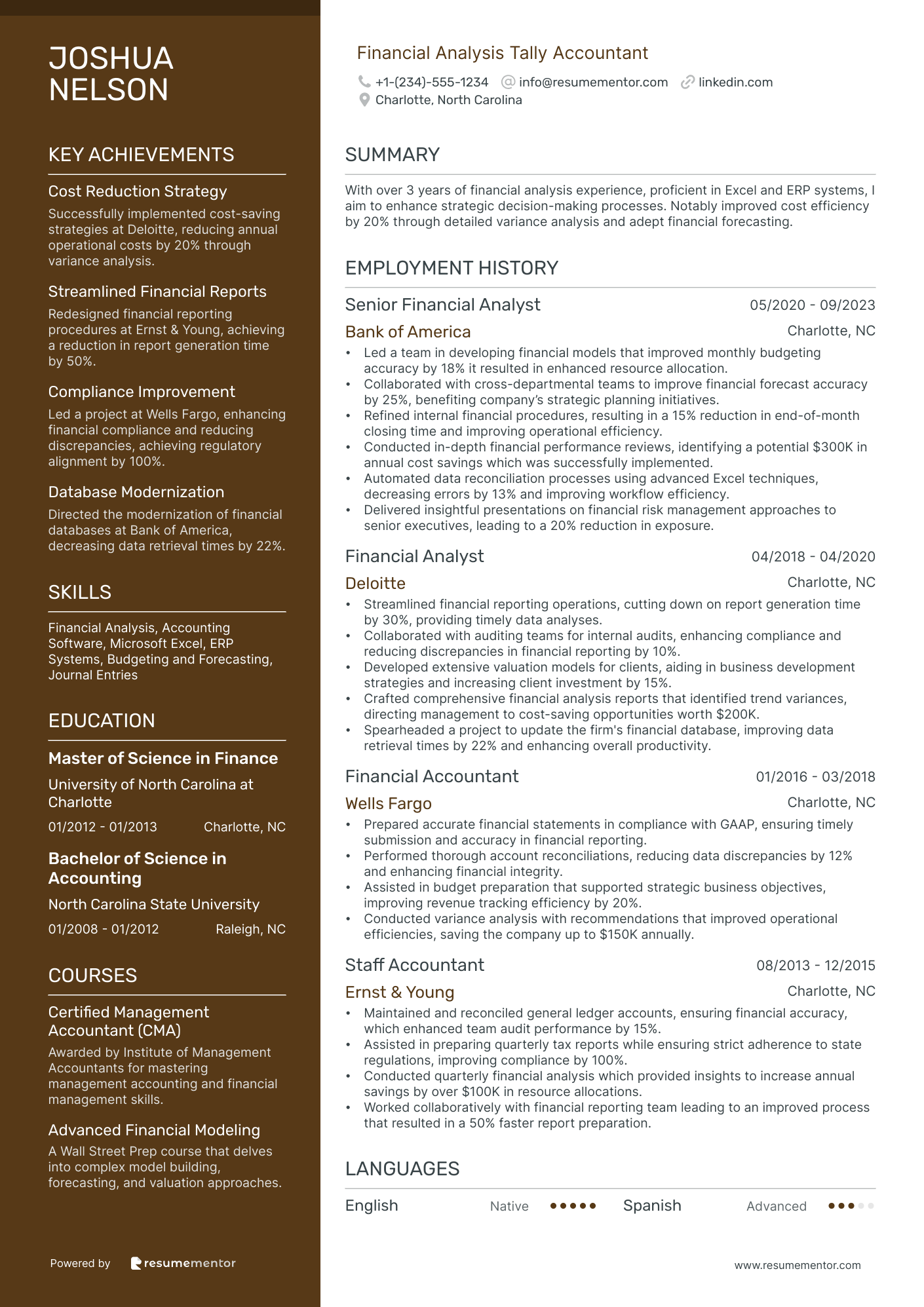 Financial Analysis Tally Accountant