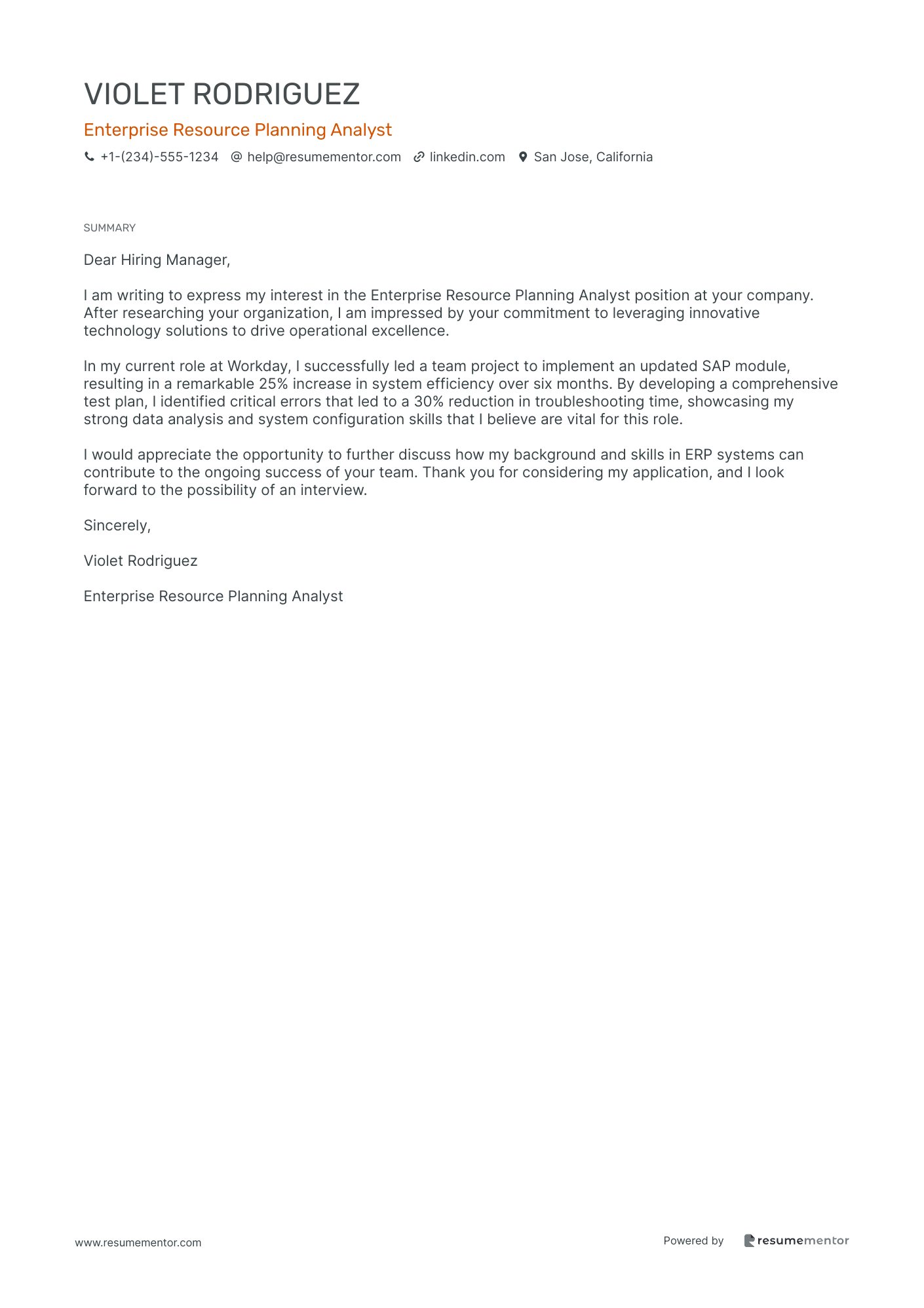 Enterprise Resource Planning Analyst