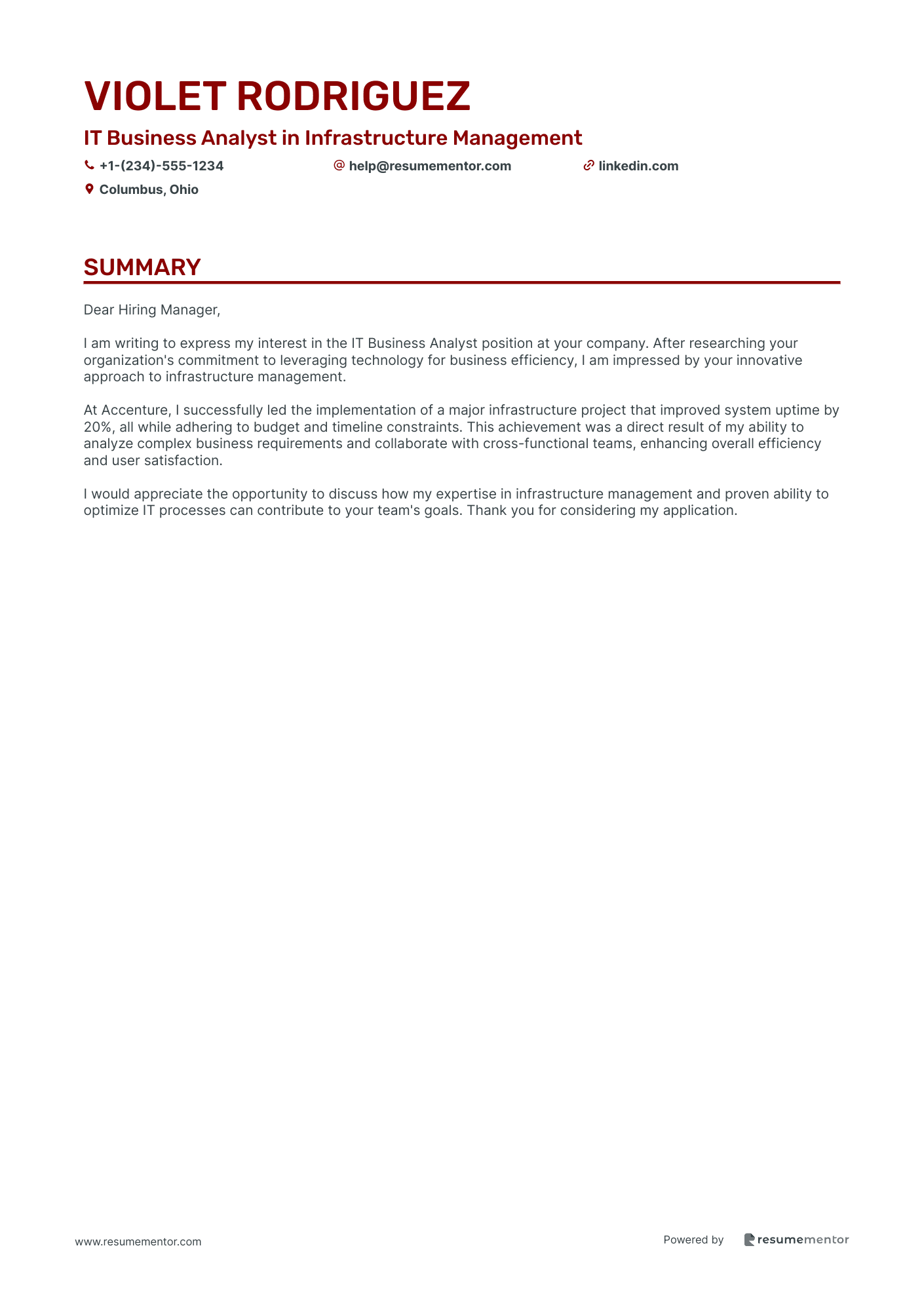 IT Business Analyst in Infrastructure Management