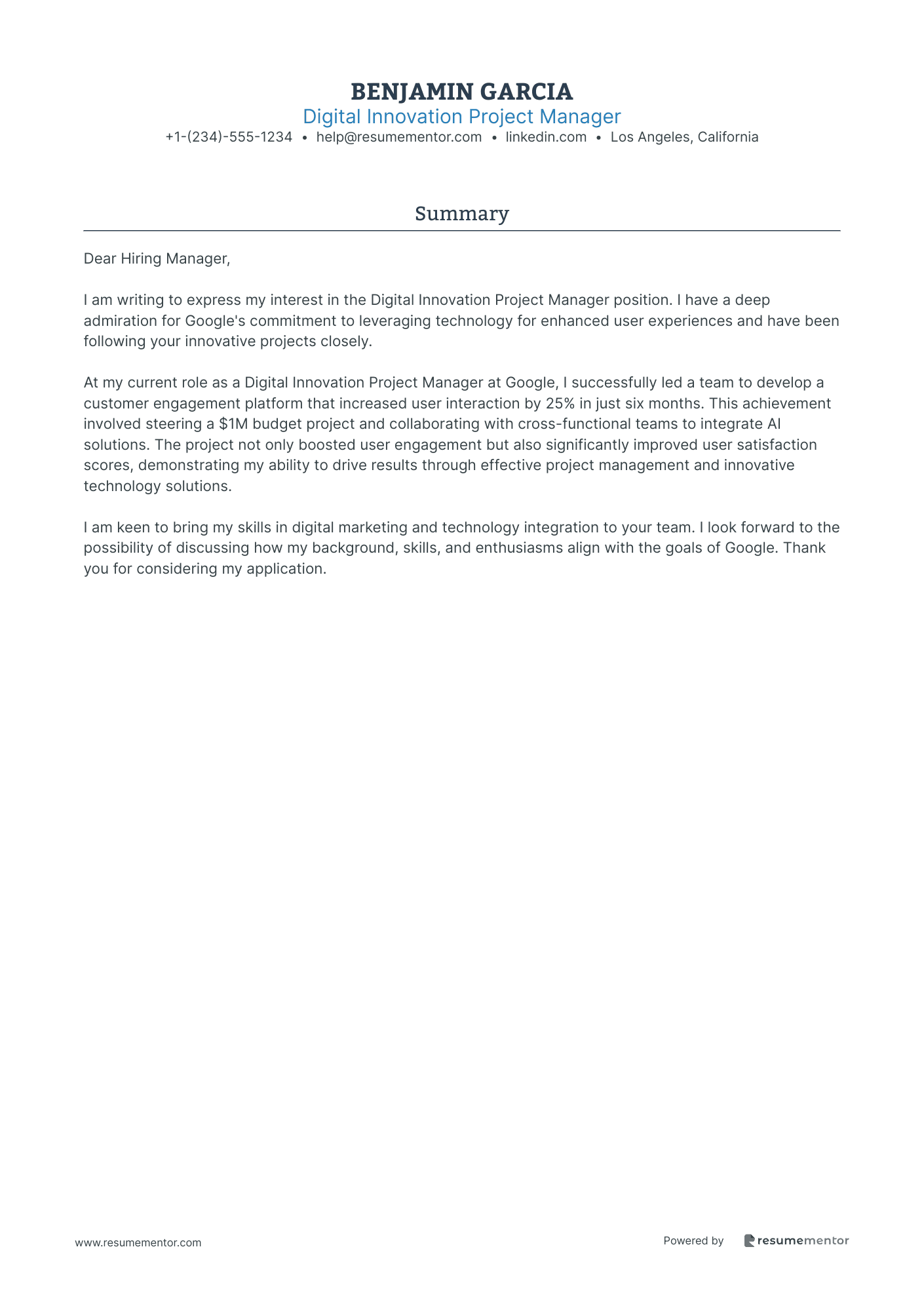 Digital Innovation Project Manager
