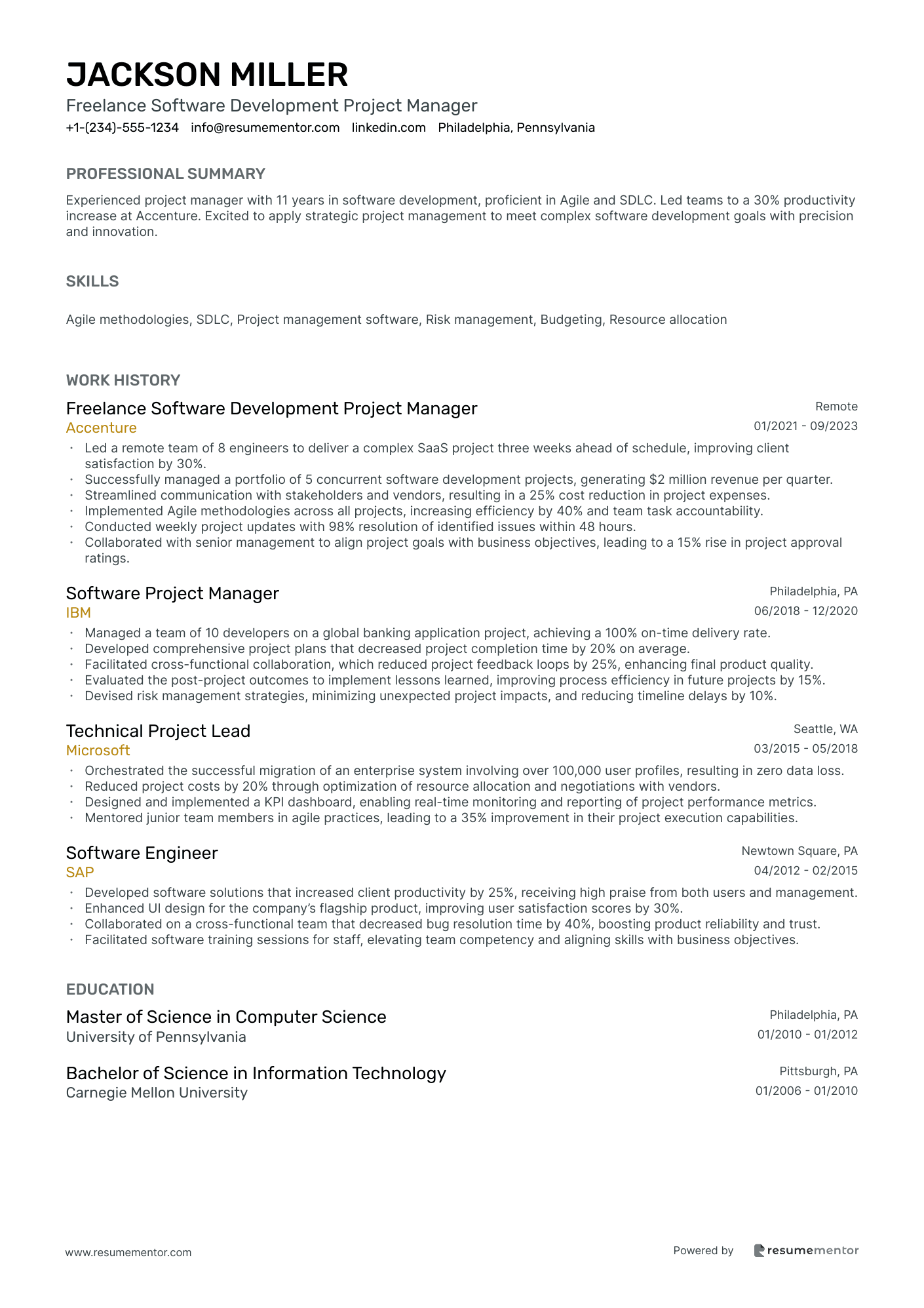 Freelance Software Development Project Manager