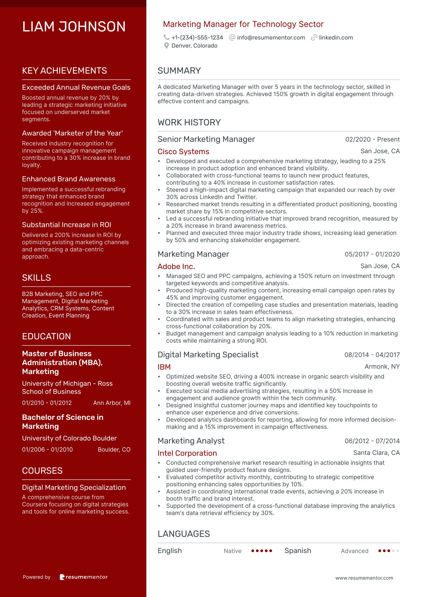 Marketing Manager for Technology Sector