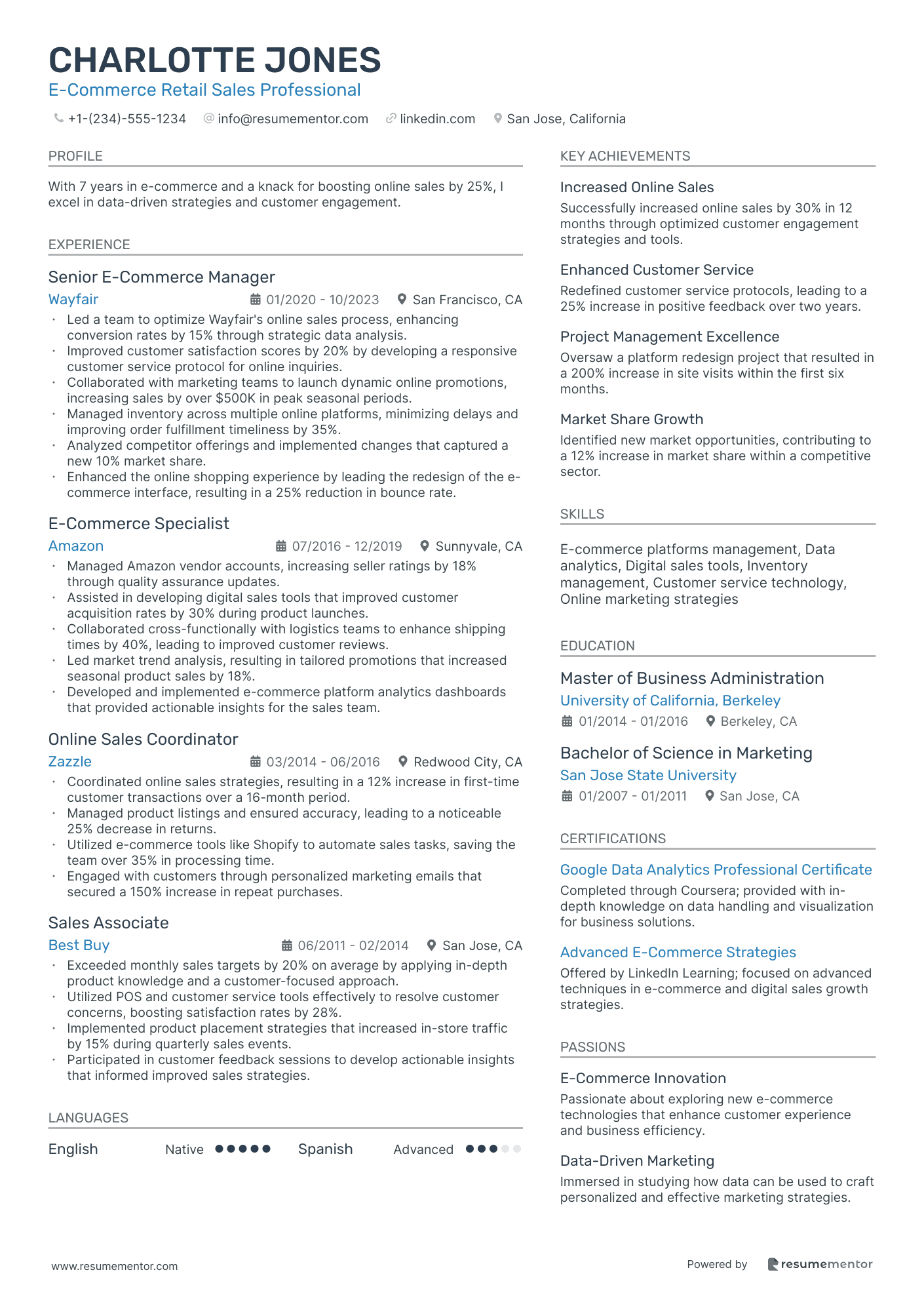 E Commerce Retail Sales Professional