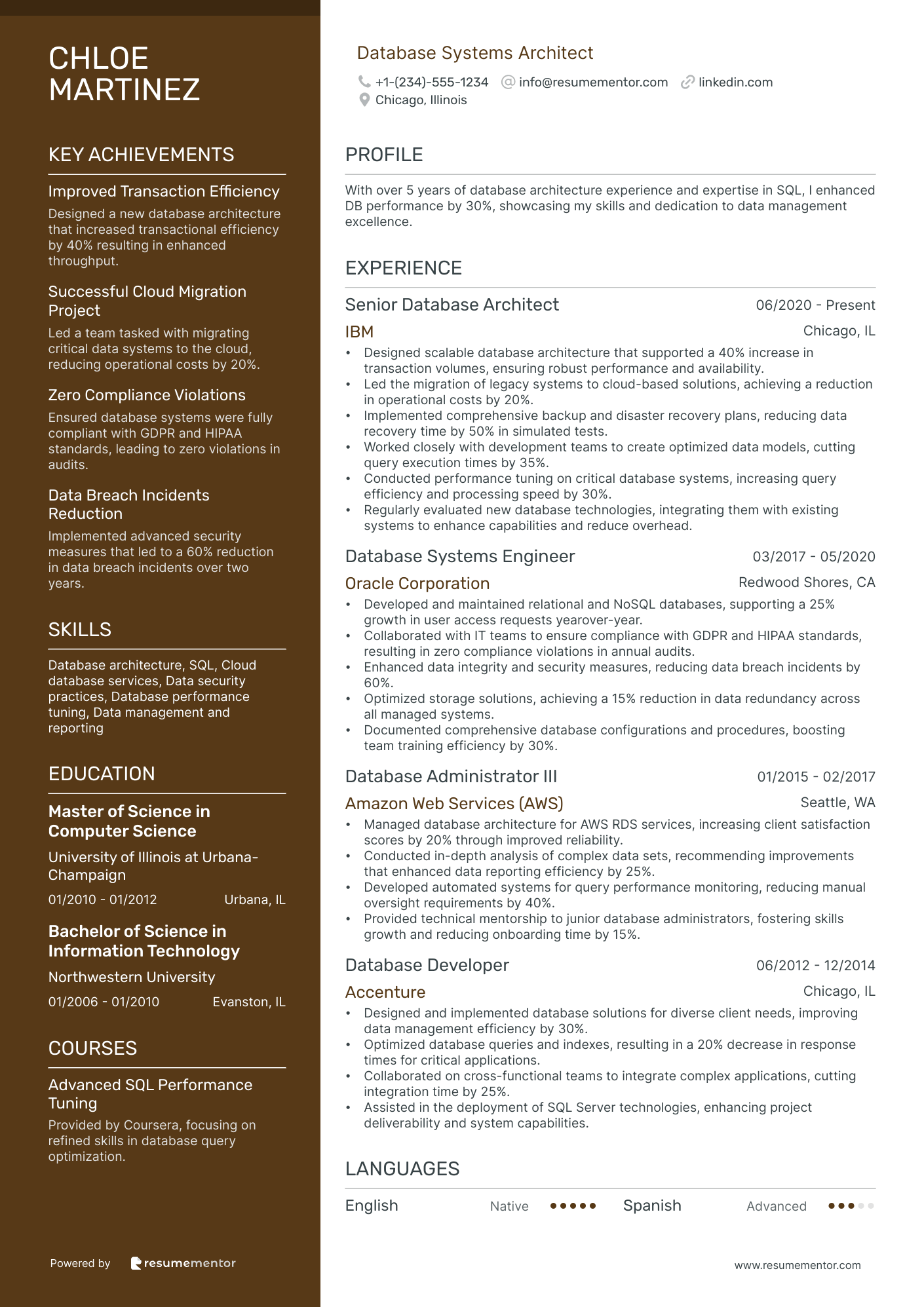 Database Systems Architect