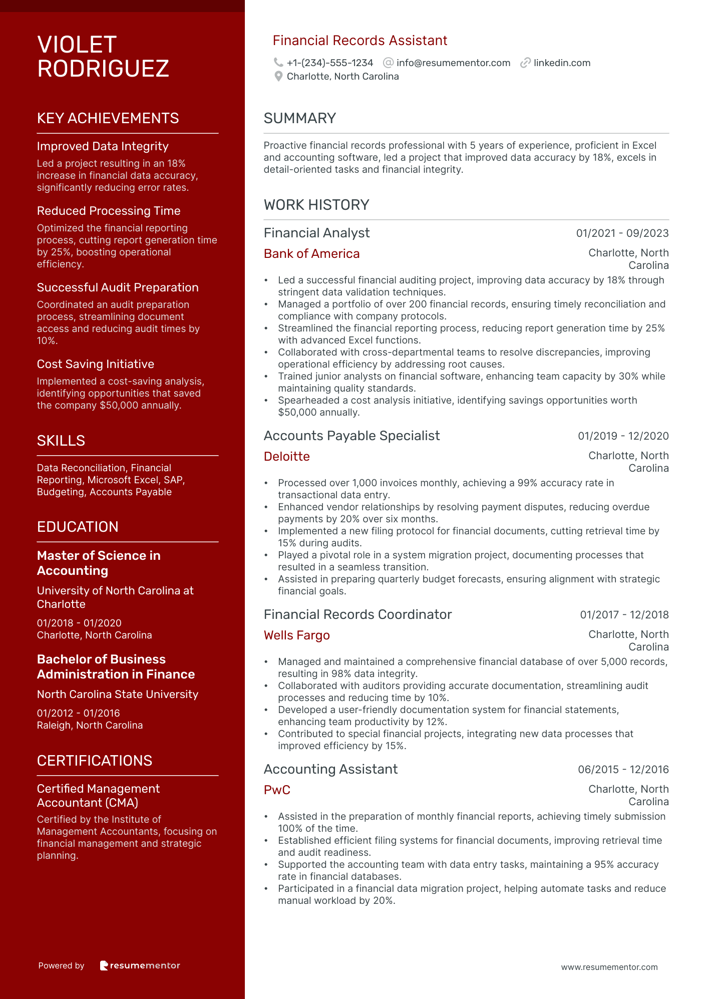 Financial Records Assistant