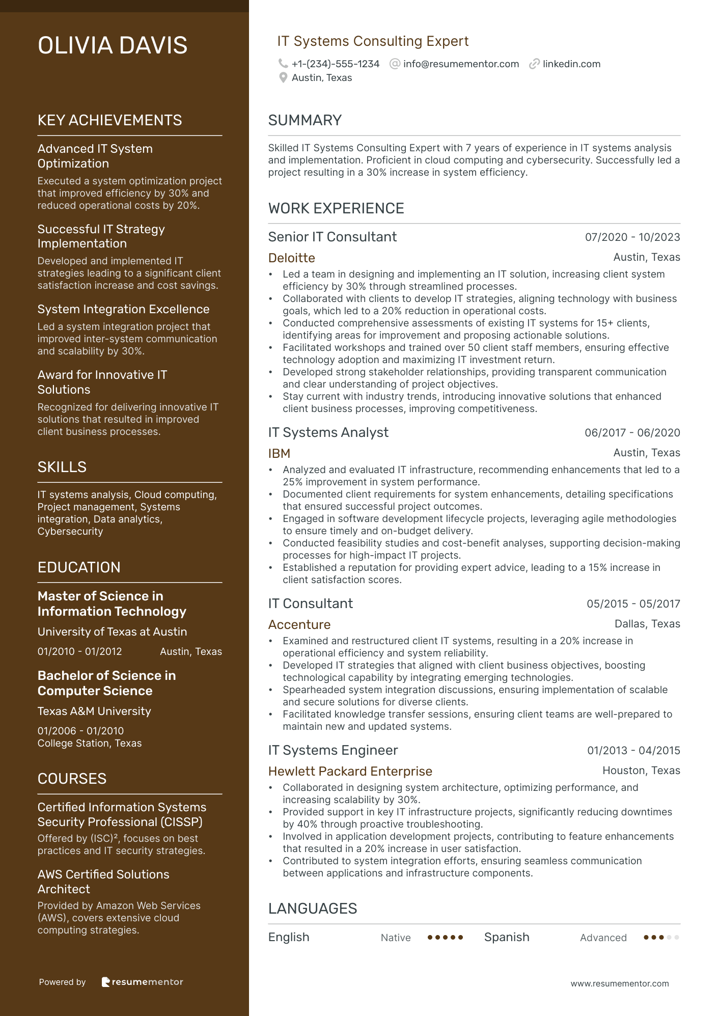 IT Systems Consulting Expert