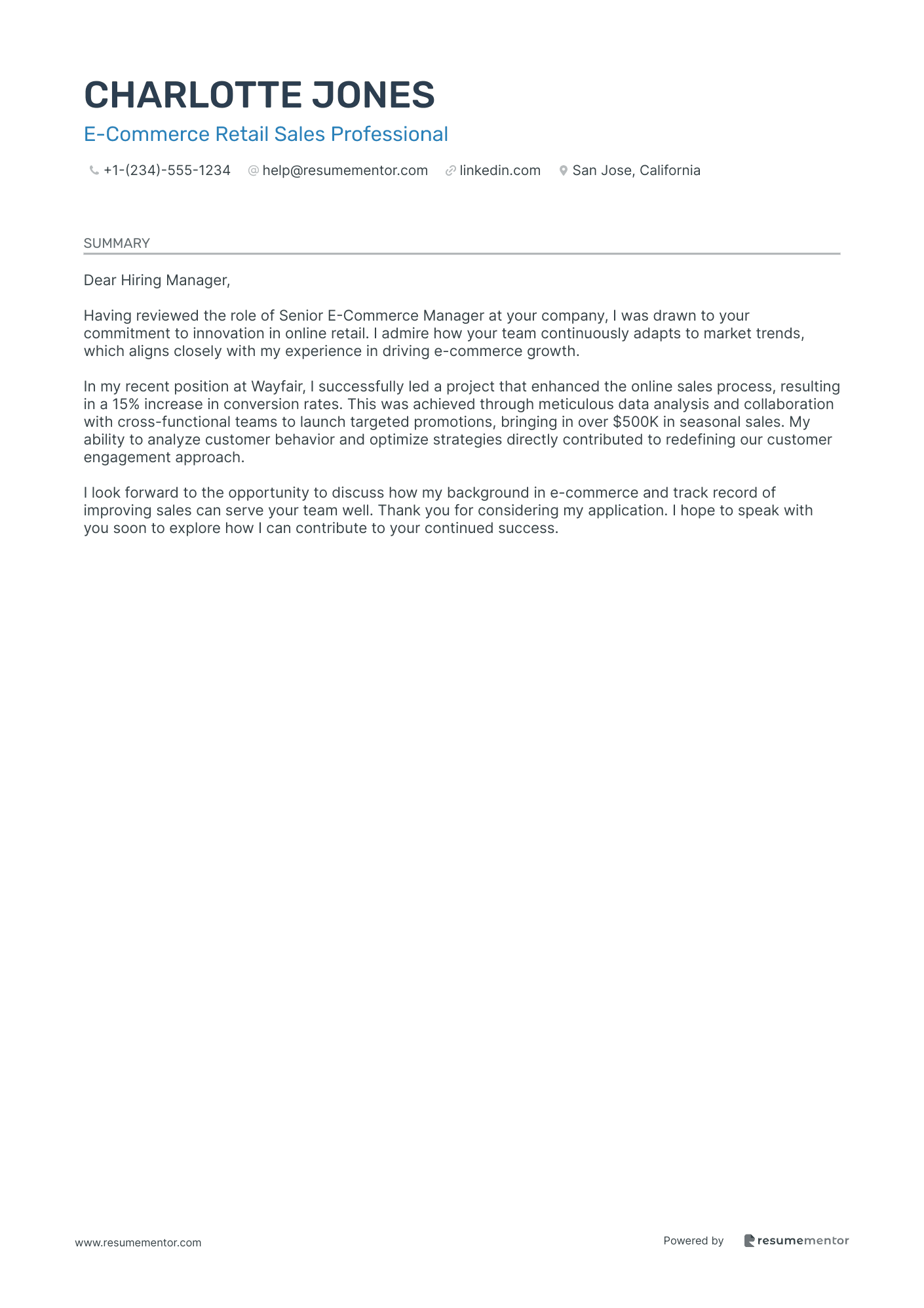 E Commerce Retail Sales Professional