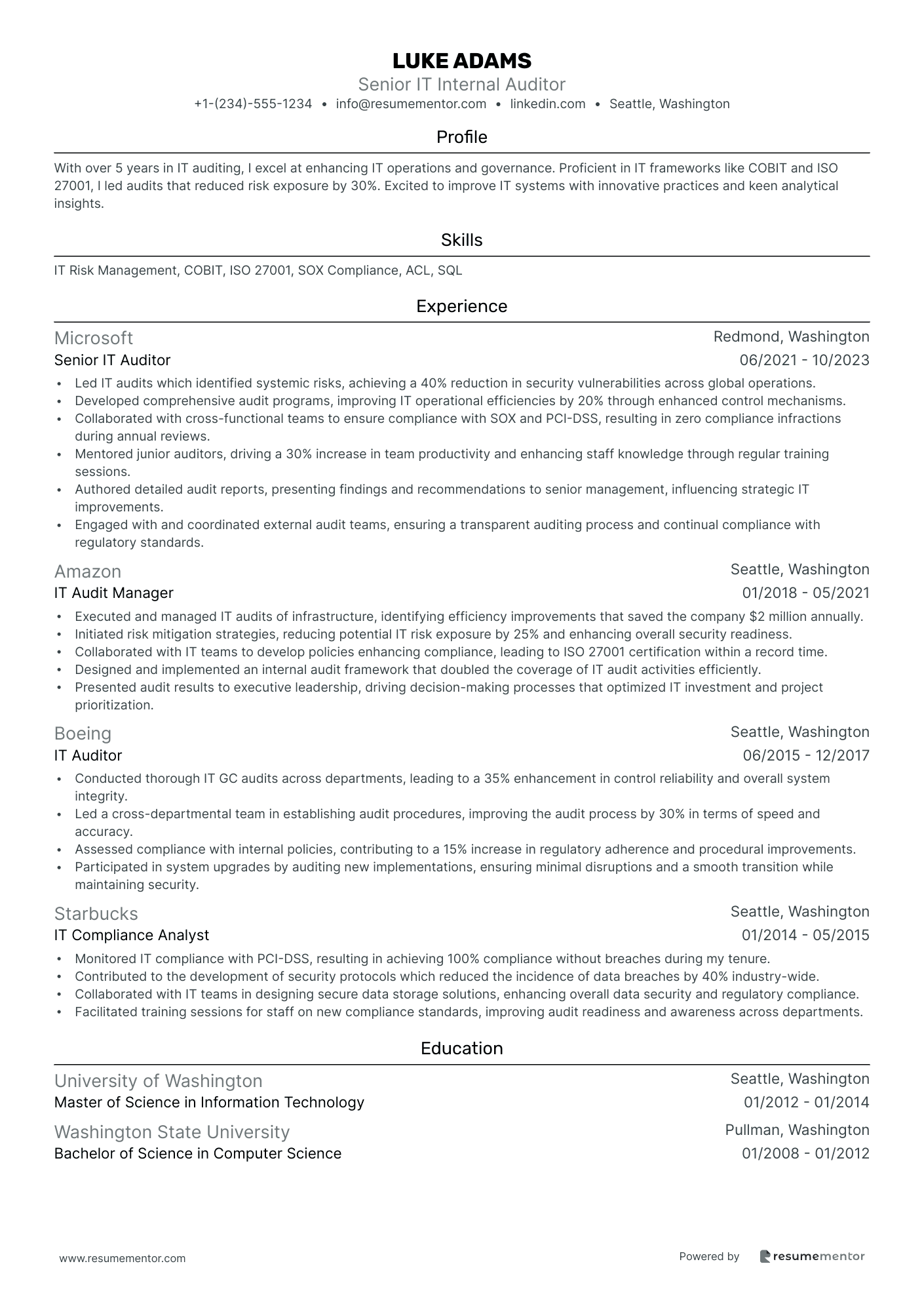 Senior IT Internal Auditor