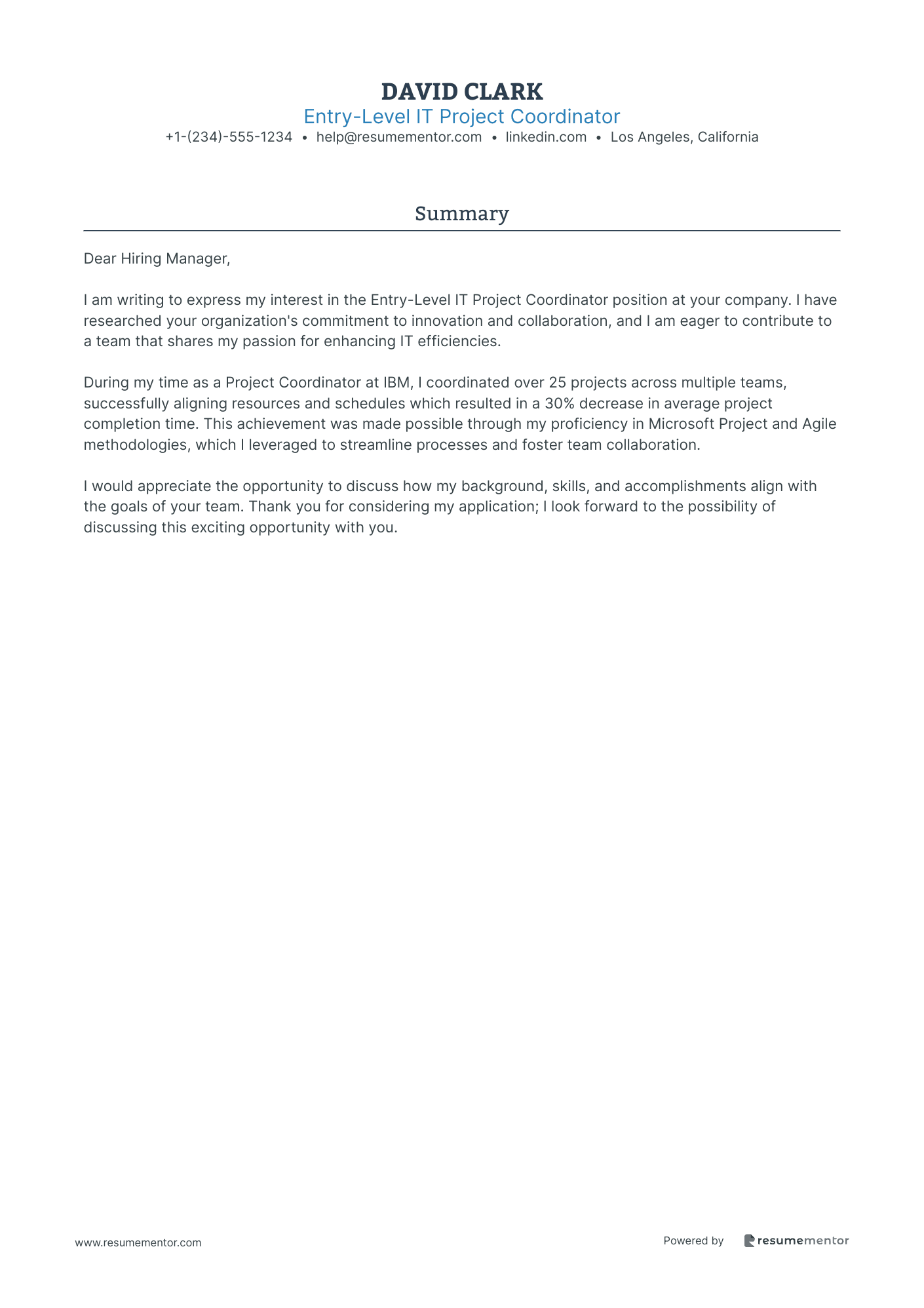 Entry Level IT Project Coordinator
