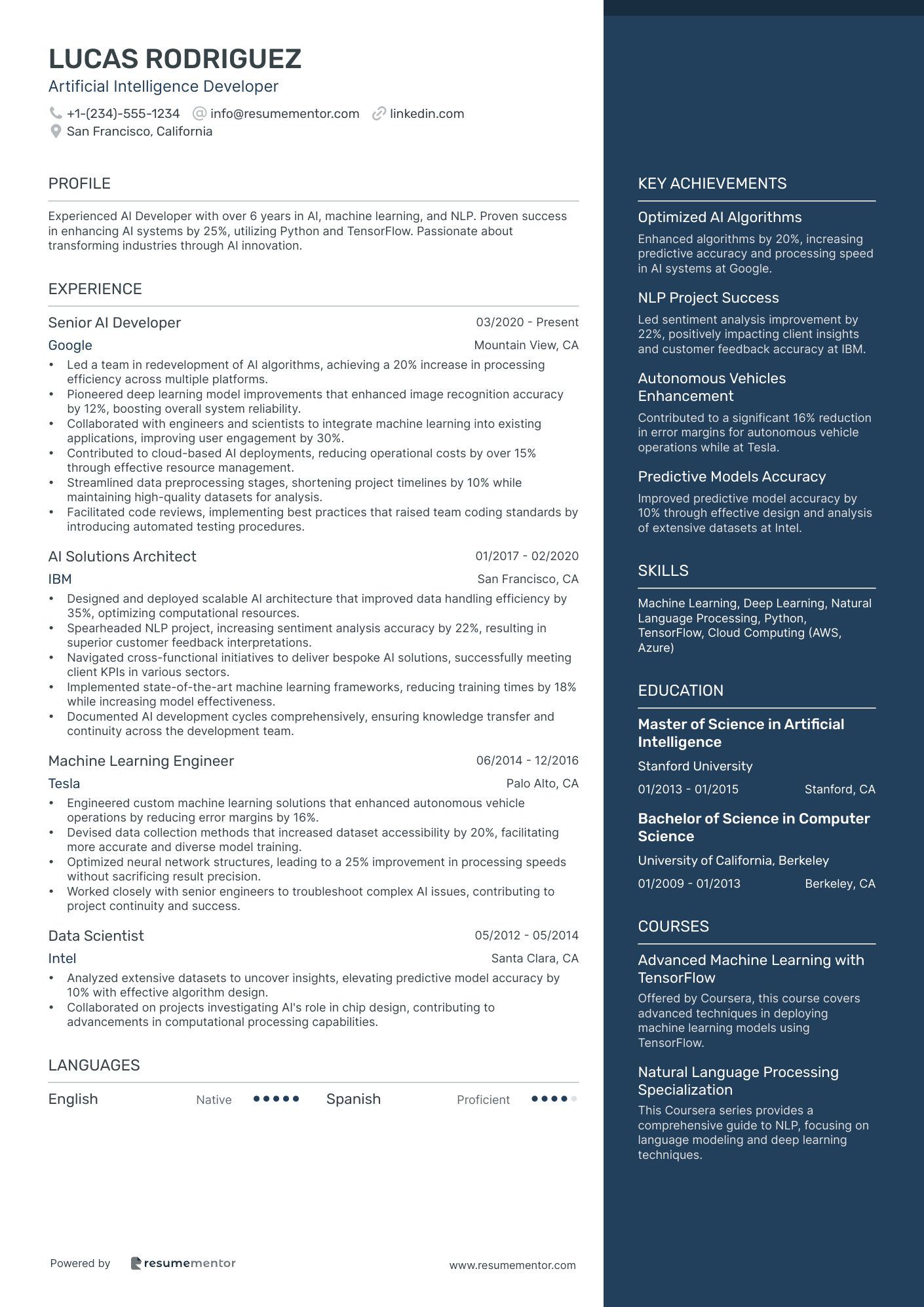 Artificial Intelligence Developer
