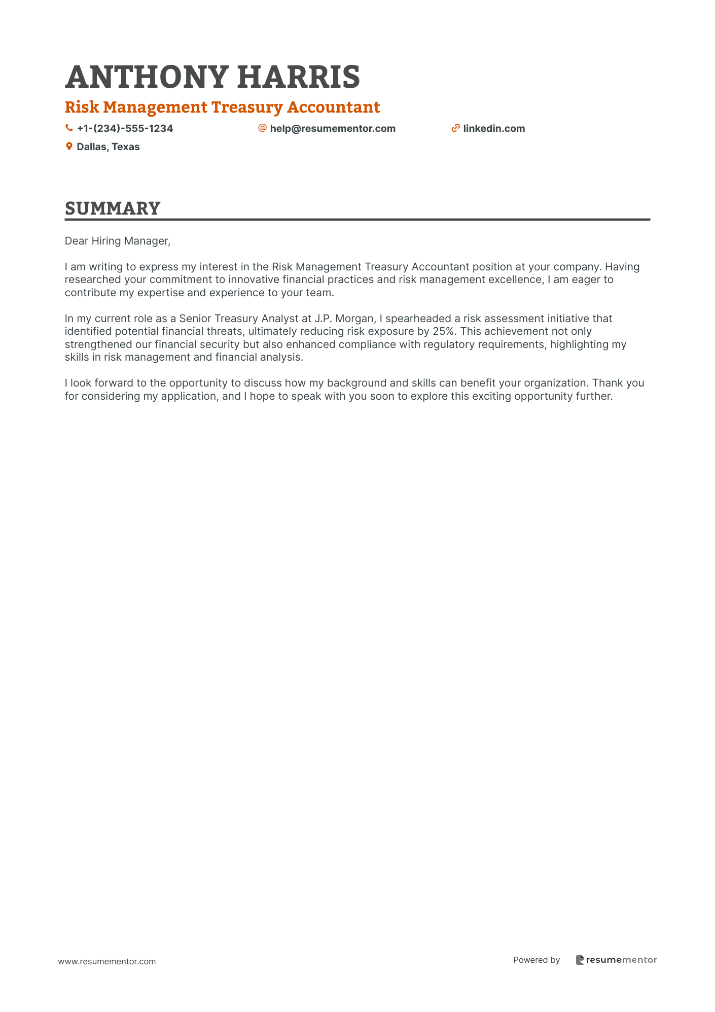 Risk Management Treasury Accountant