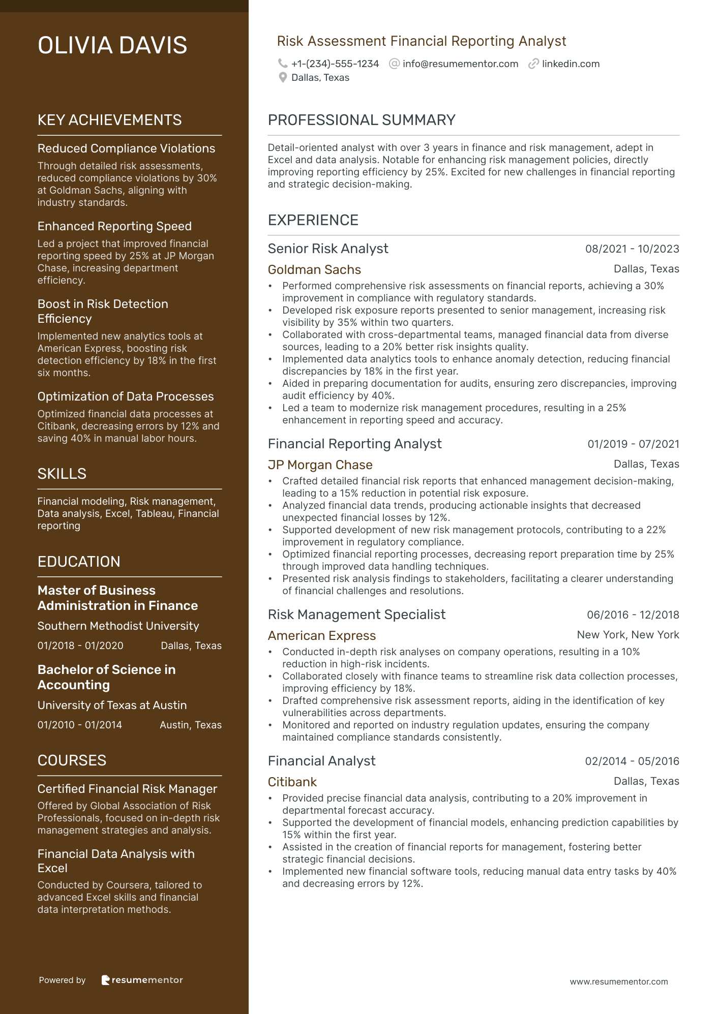 Risk Assessment Financial Reporting Analyst