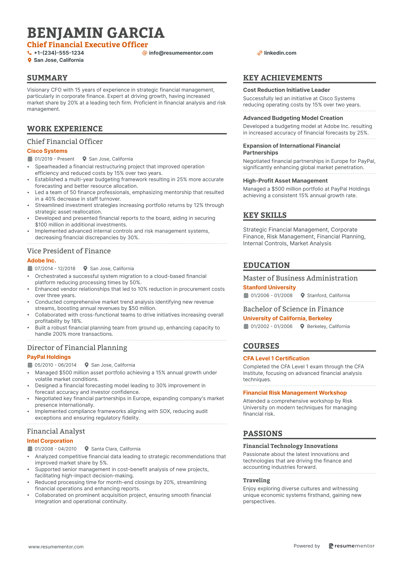 Chief Financial Executive Officer