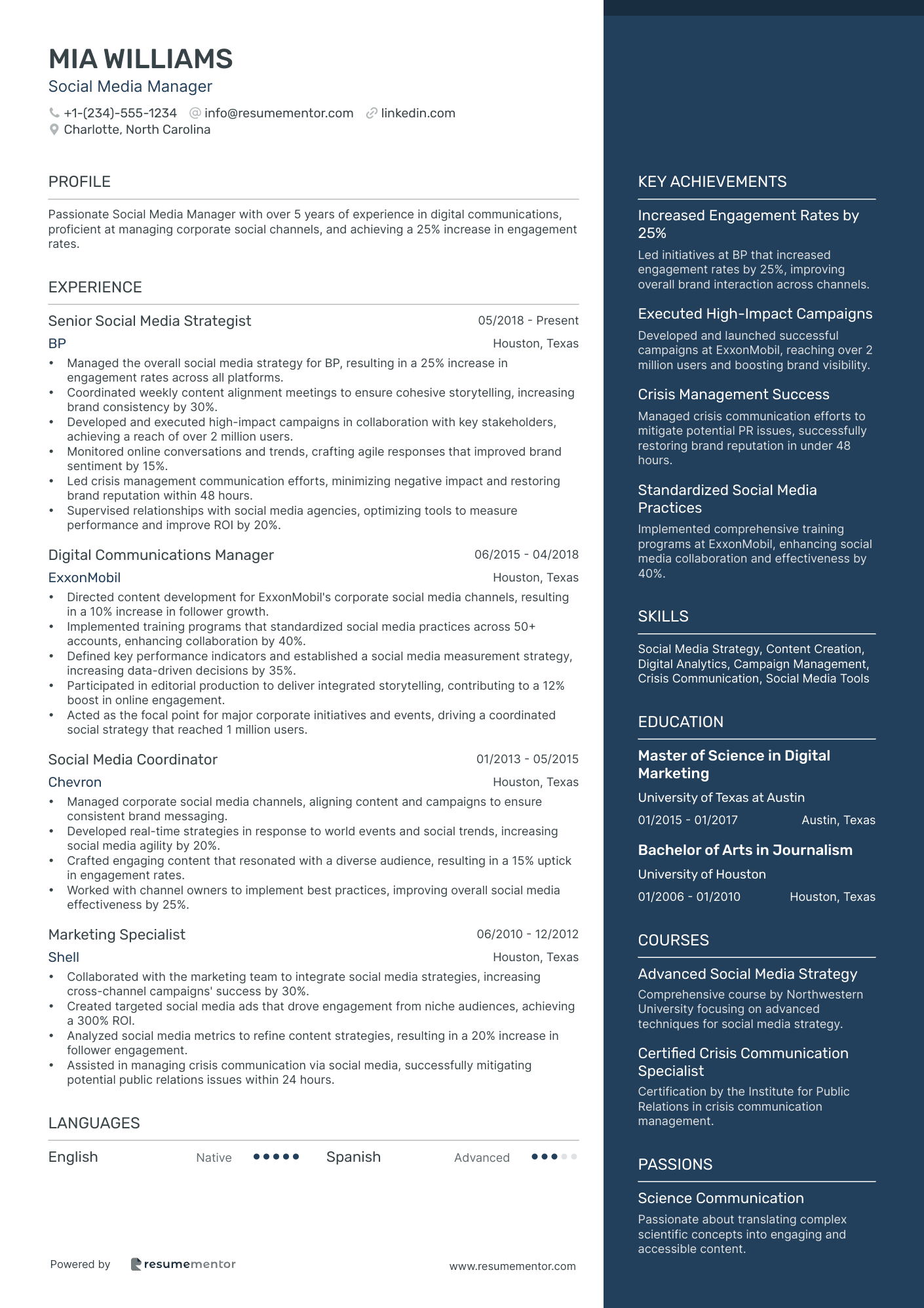 Resume Example Image