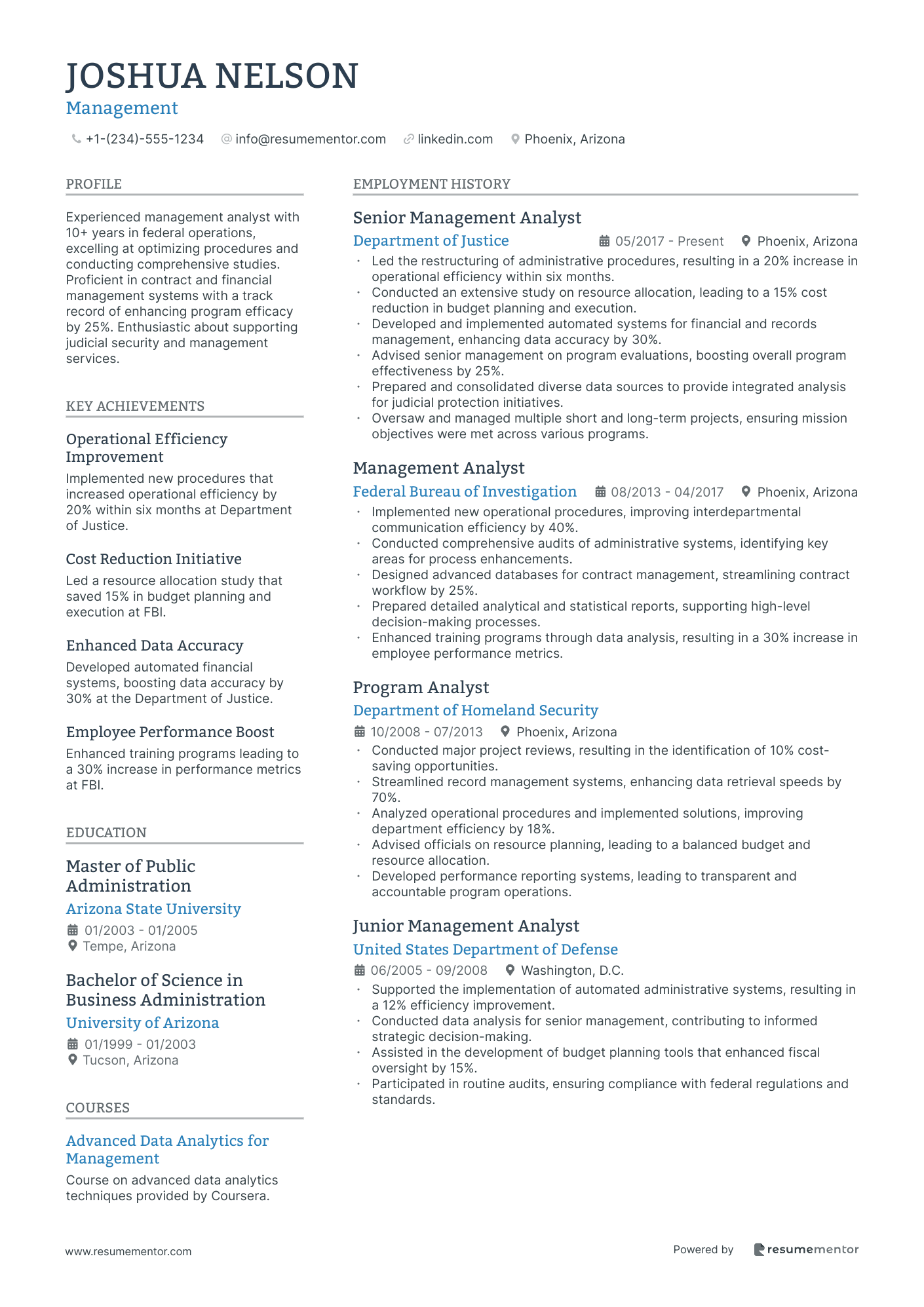 Resume Example Image