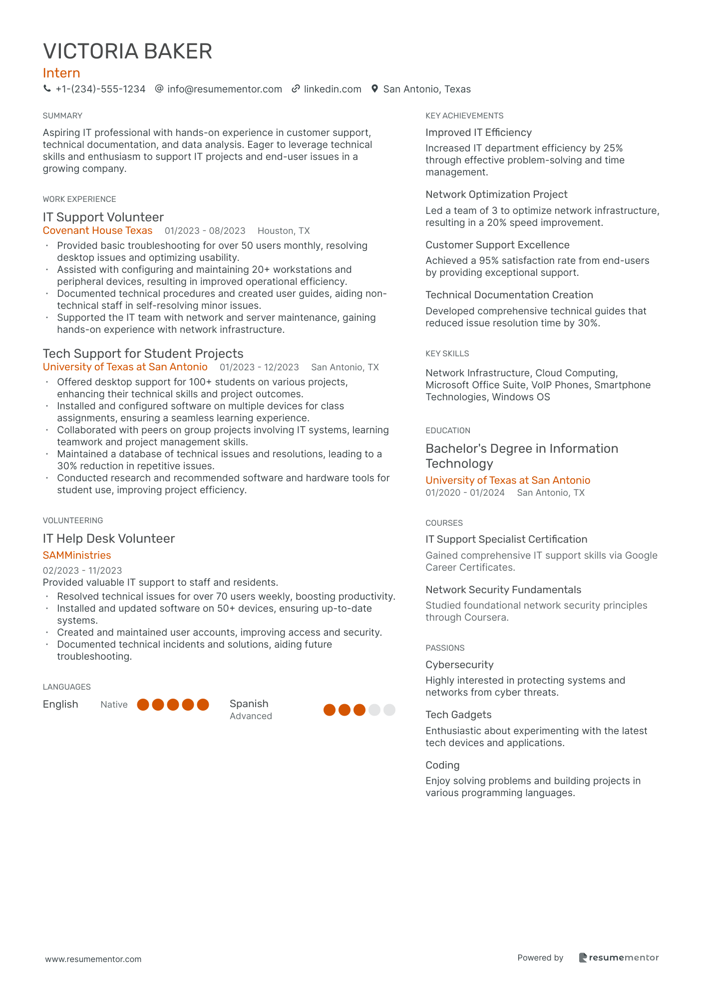 Resume Example Image