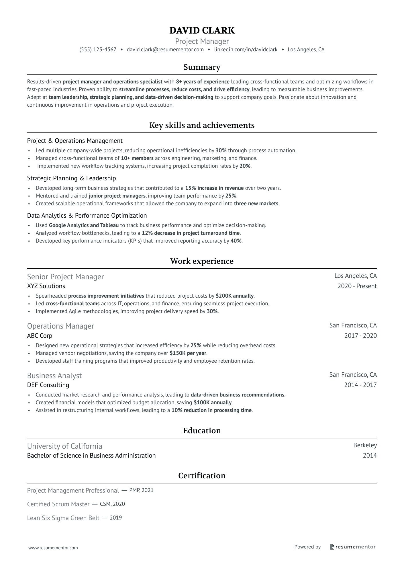 Resume Example Image