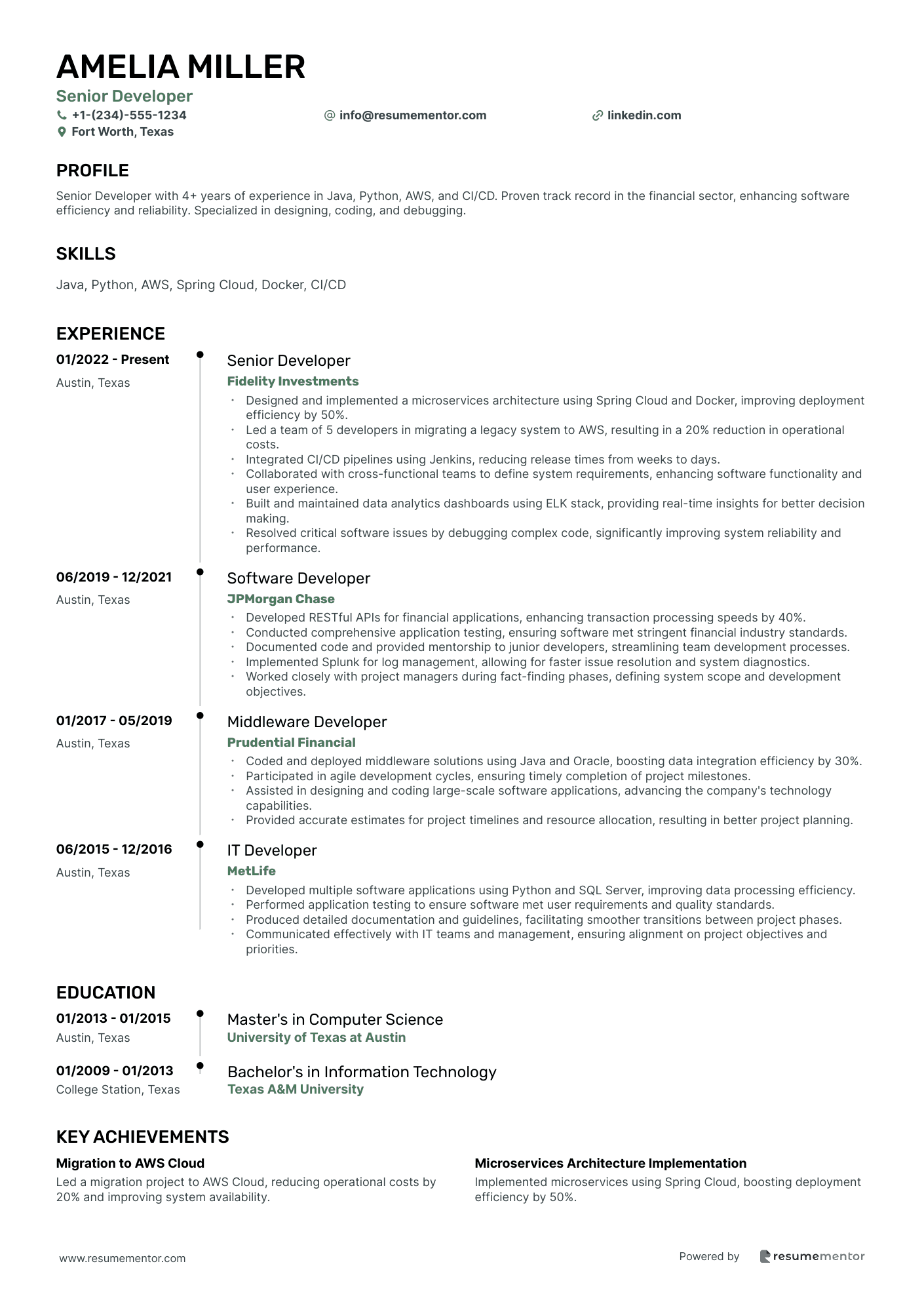 Resume Example Image