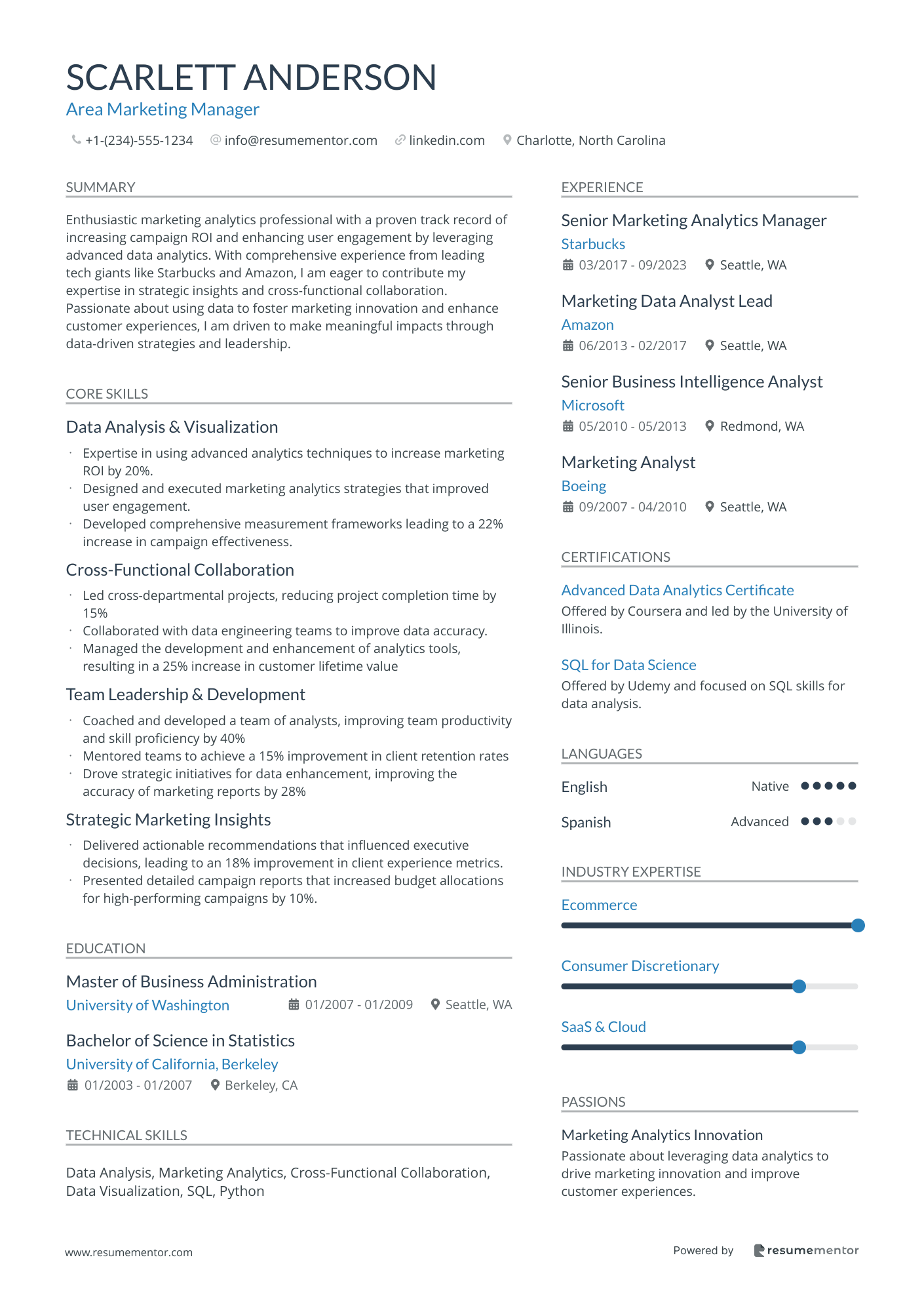 Resume Example Image