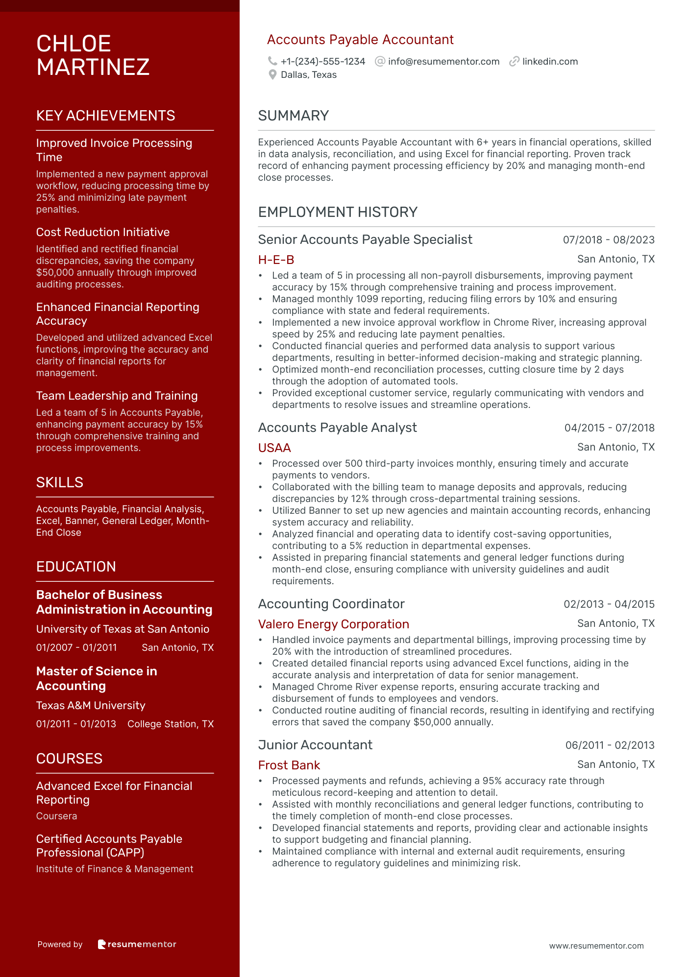 Resume Example Image