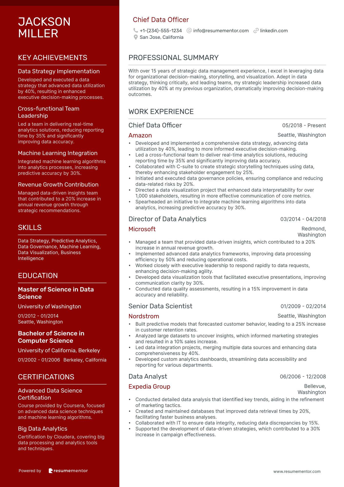 Resume Example Image