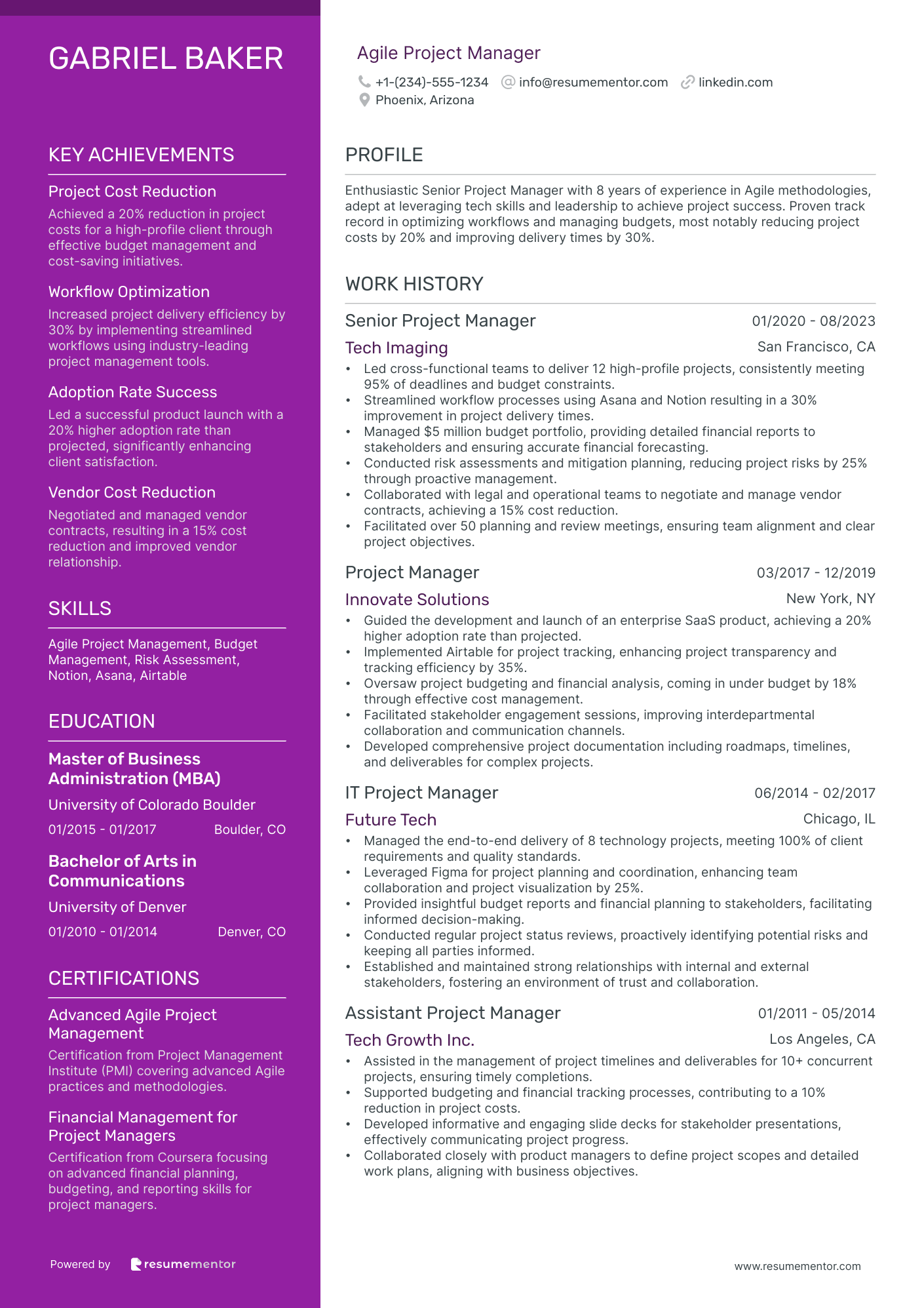 Resume Example Image