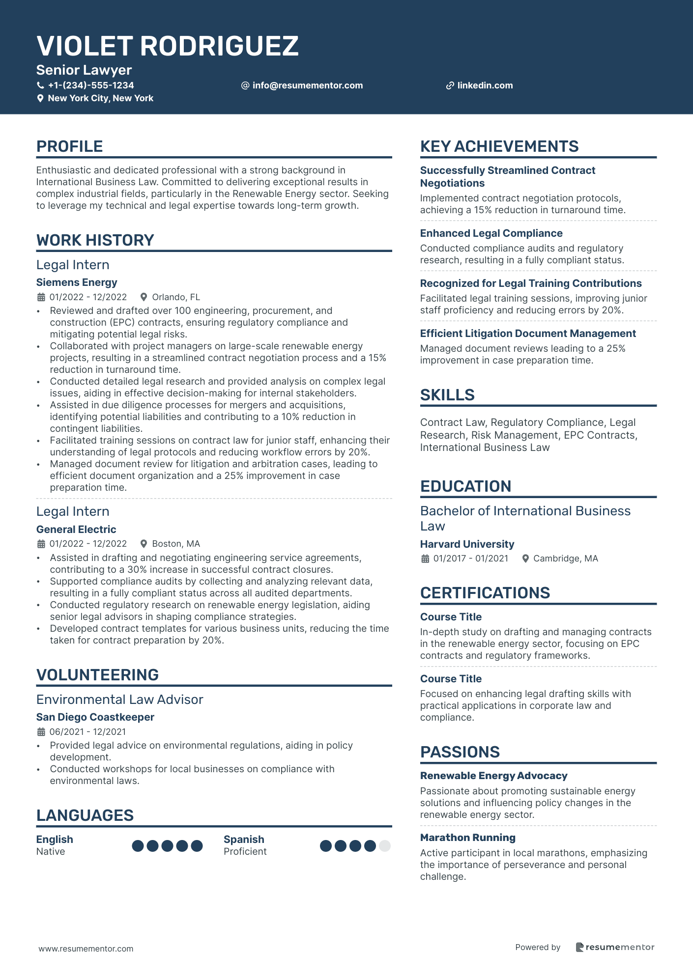 Resume Example Image