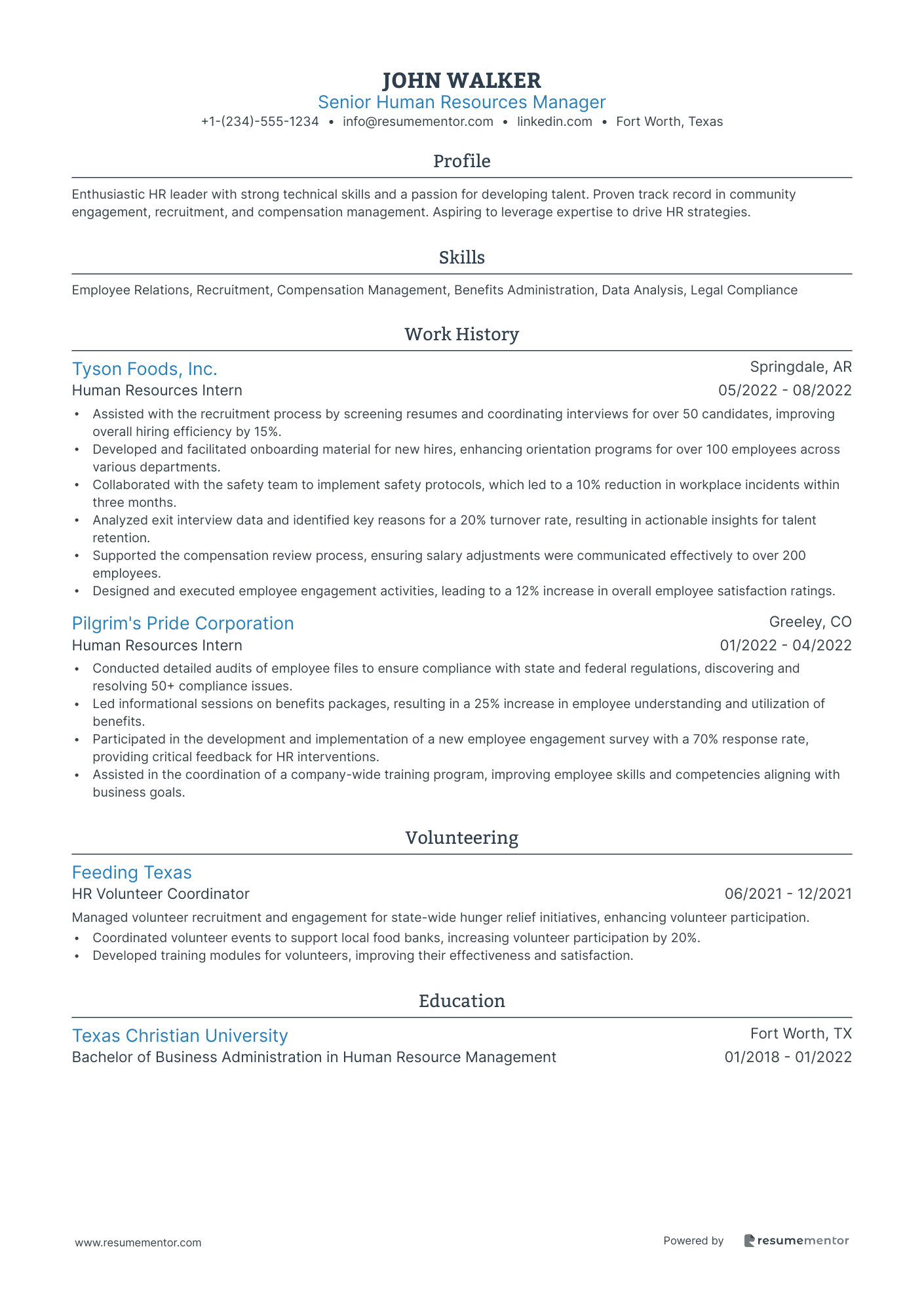 Resume Example Image