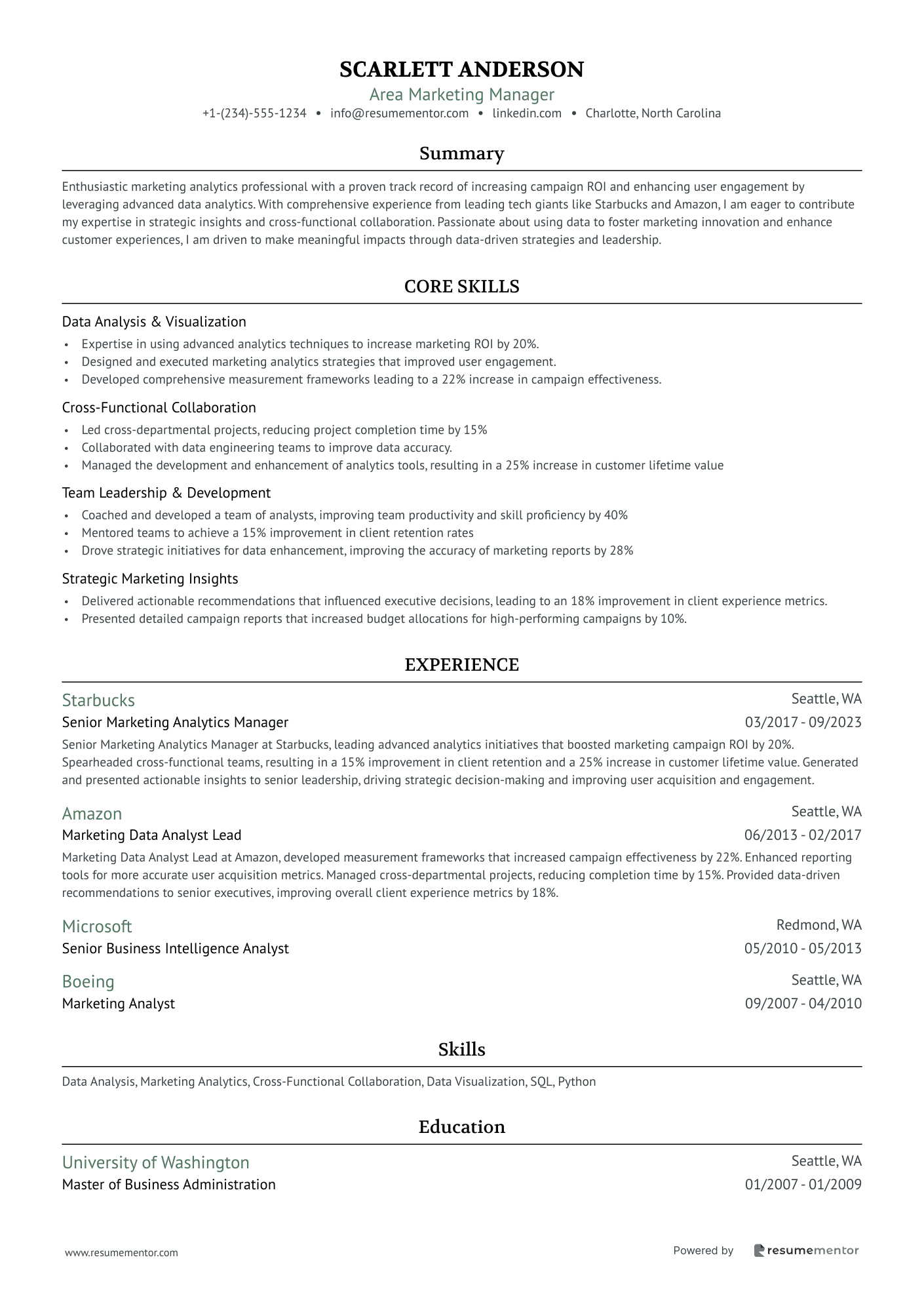 Resume Example Image