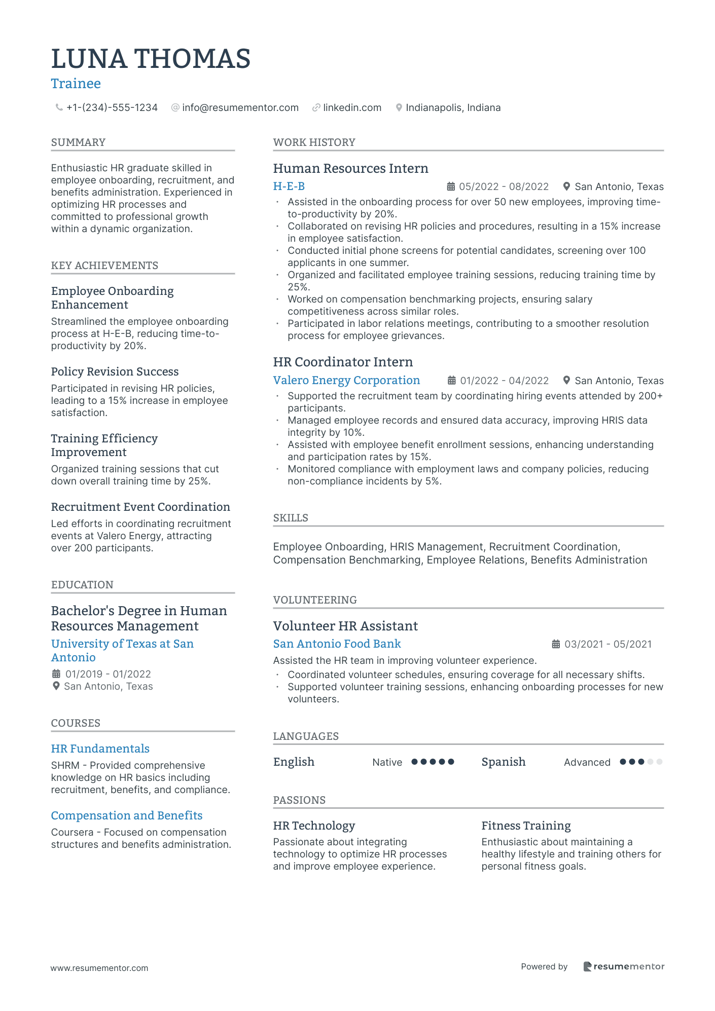 Resume Example Image