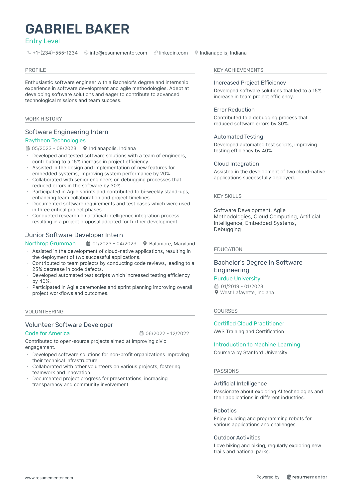 Resume Example Image