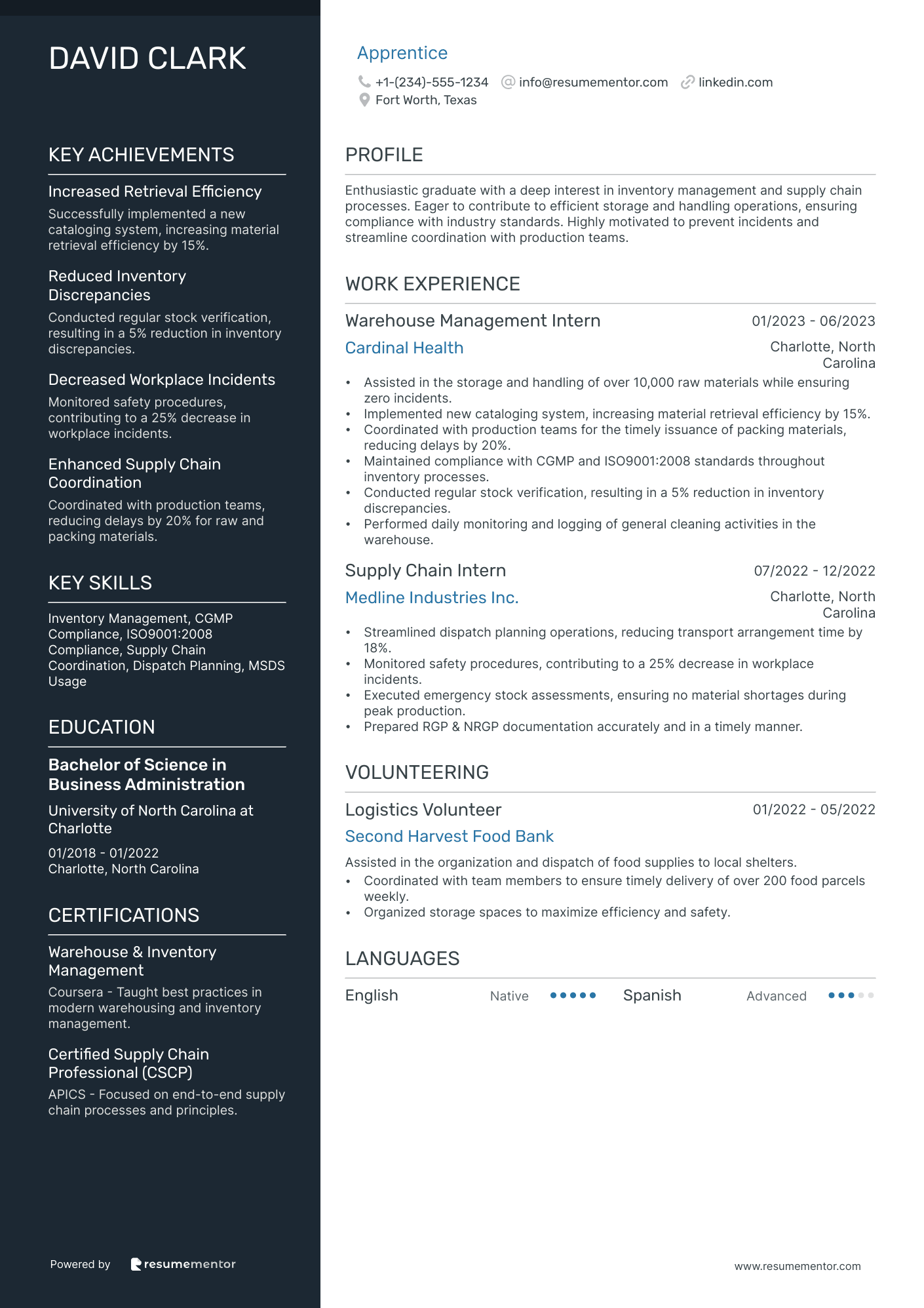 Resume Example Image