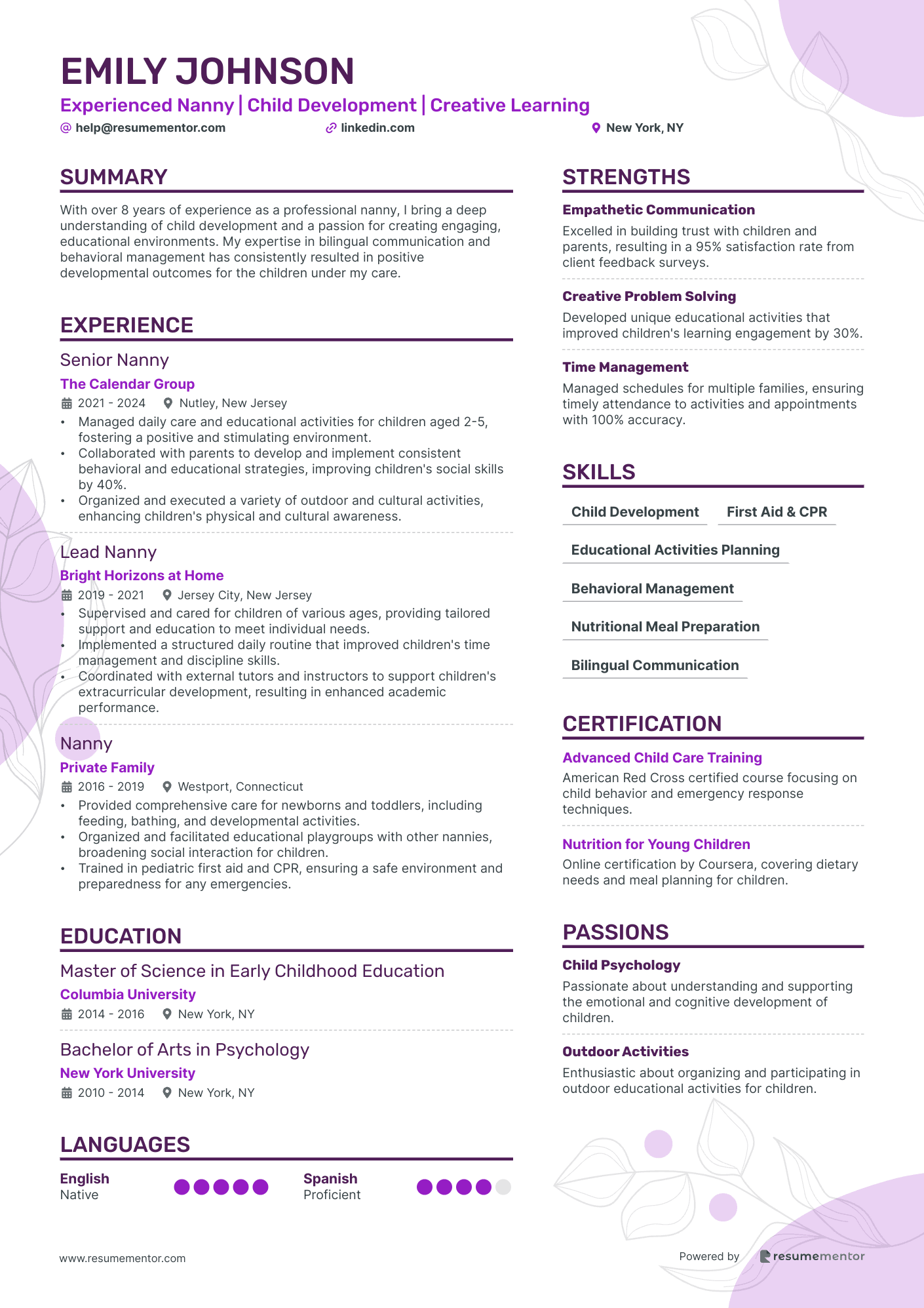 Resume Example Image