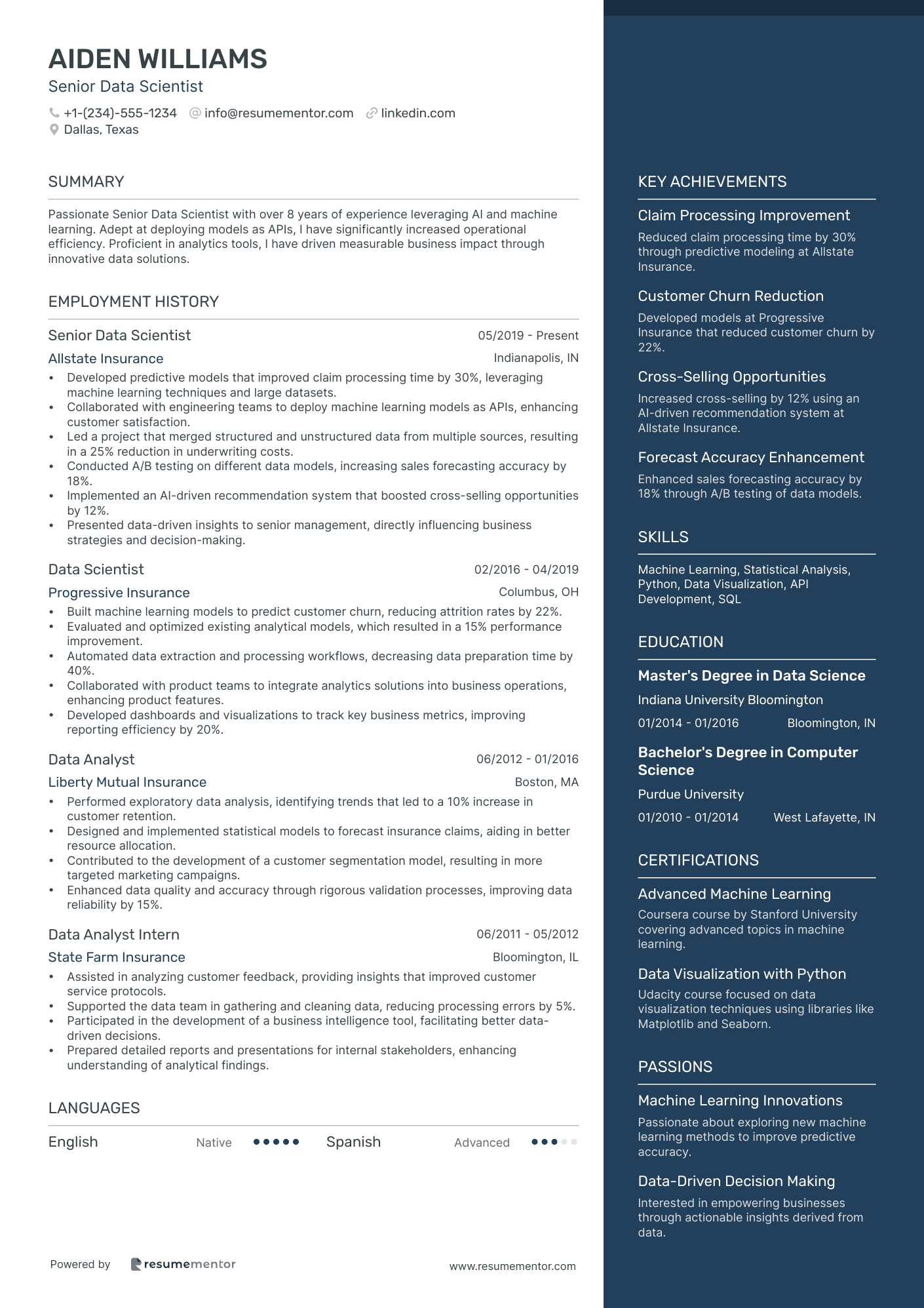 Resume Example Image