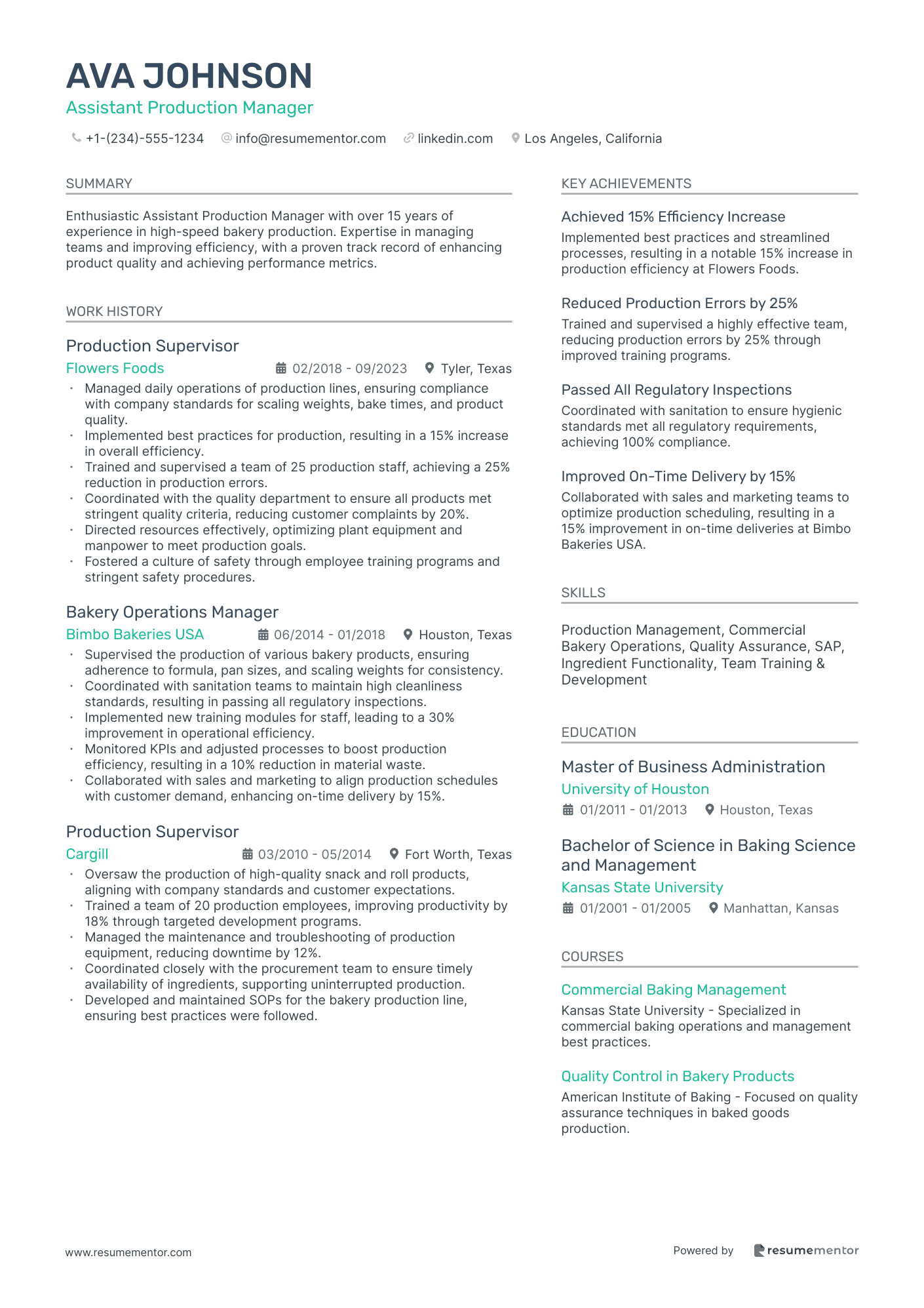 Resume Example Image